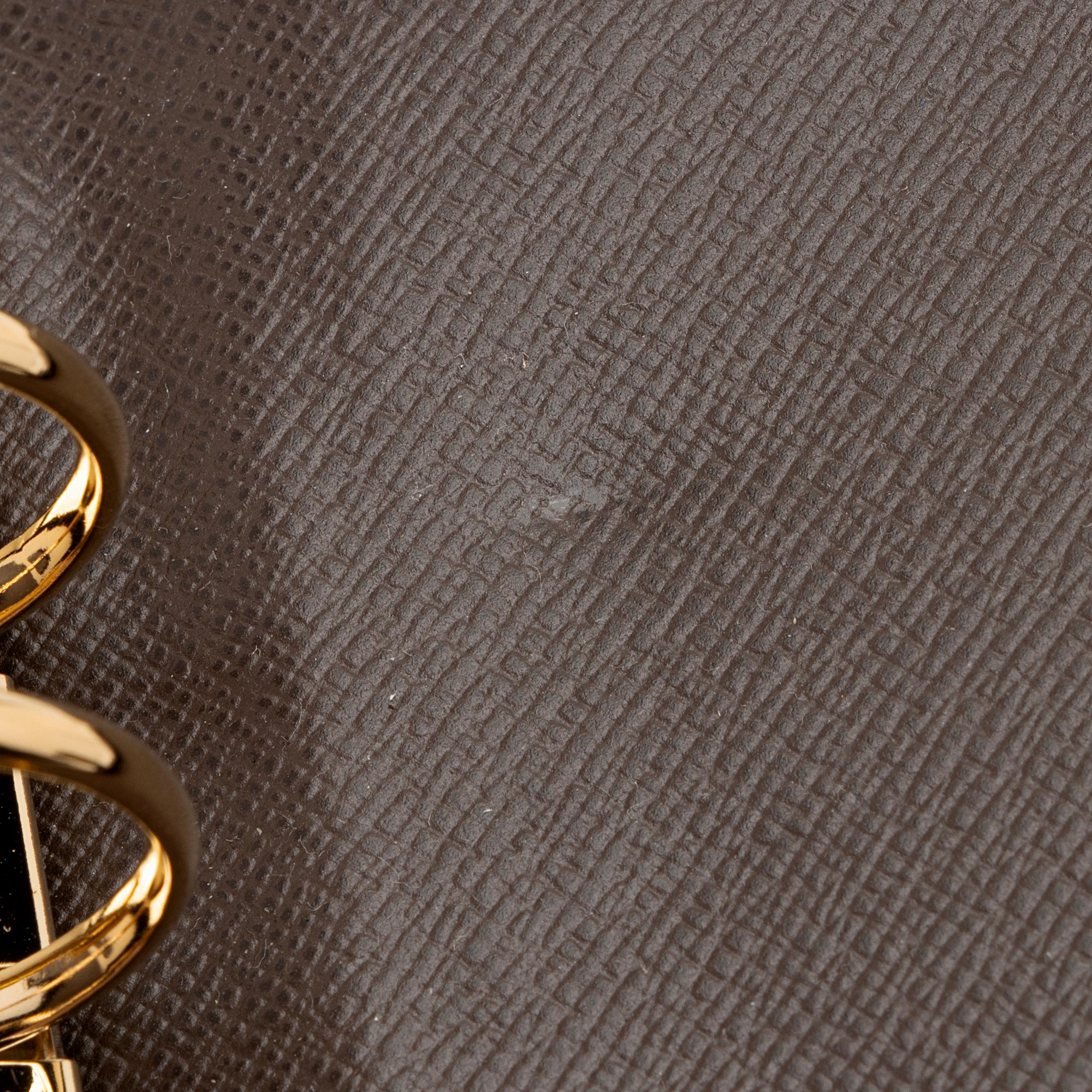 Louis Vuitton Damier Ebene Large Ring Agenda Cover (SHF-IPPpvu)