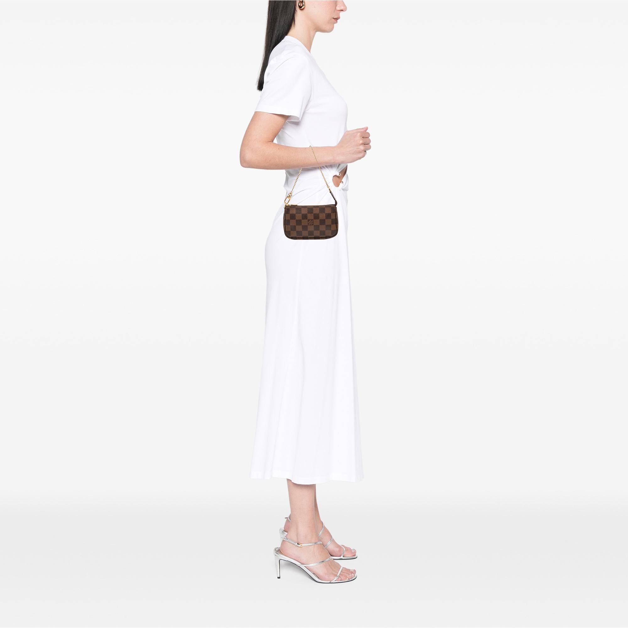 Louis Vuitton Damier Ebene Mini Pochette Accessoires