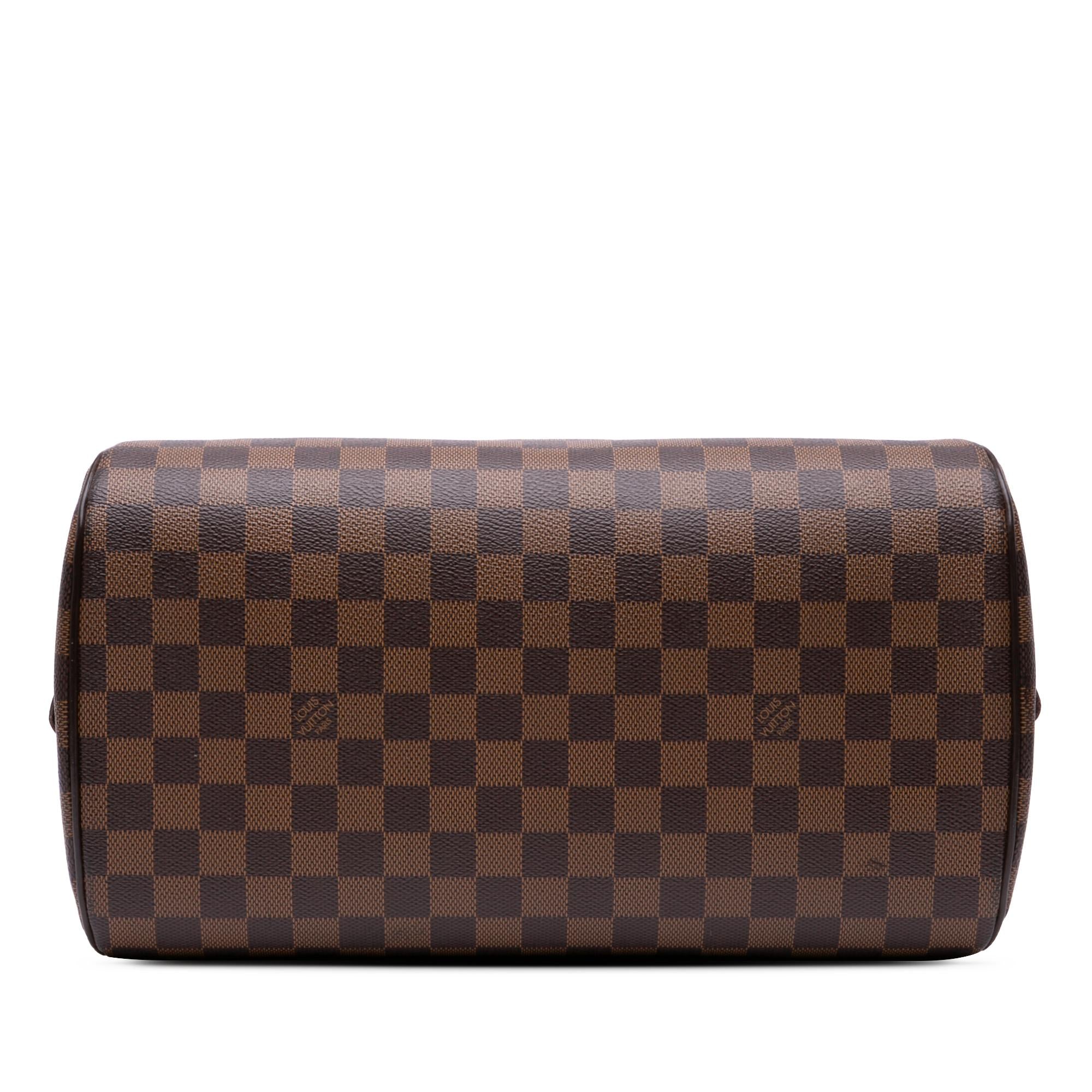 Louis Vuitton Damier Ebene Ribera MM