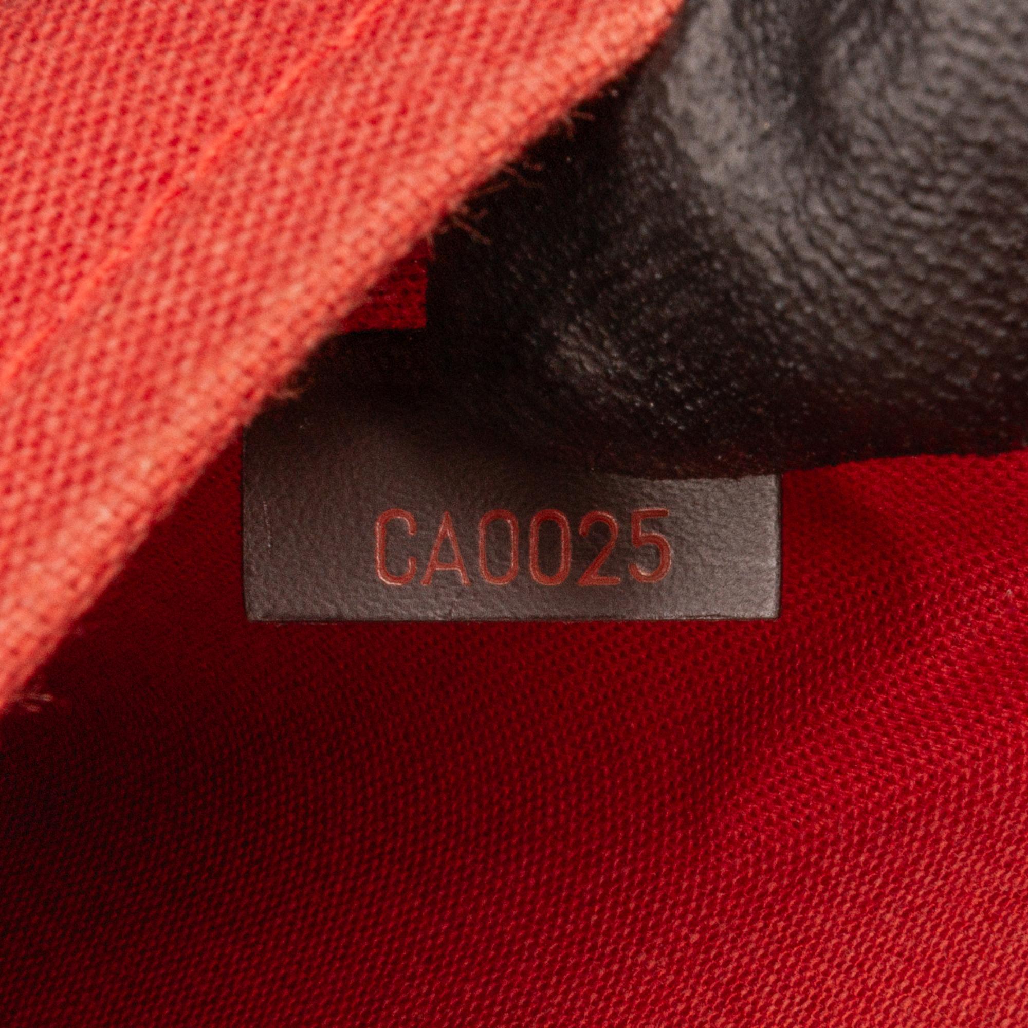 Louis Vuitton Damier Ebene Ribera MM