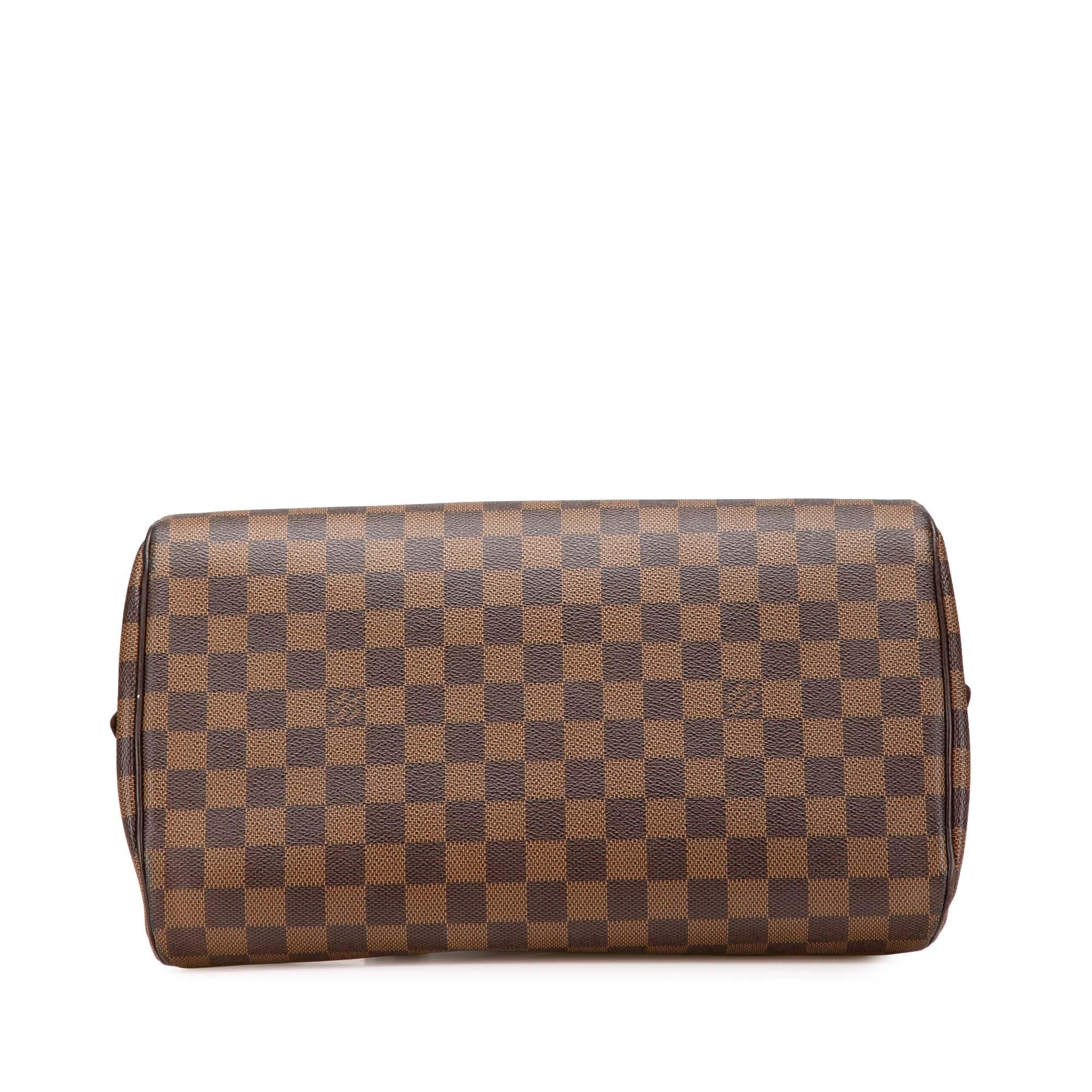 Louis Vuitton Damier Ebene Ribera MM