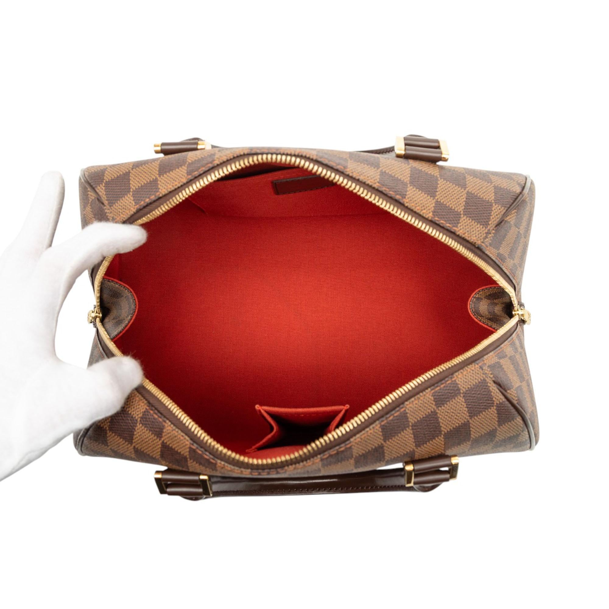 Louis Vuitton Damier Ebene Ribera MM