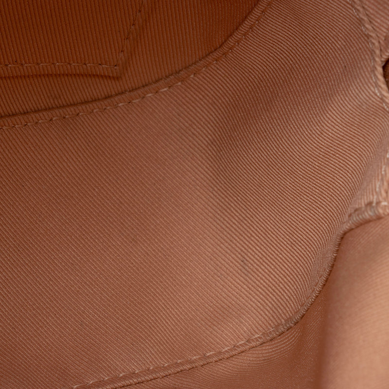 Louis Vuitton Damier Ebene Santa Monica Shoulder Bag (SHF-xbOCN7)