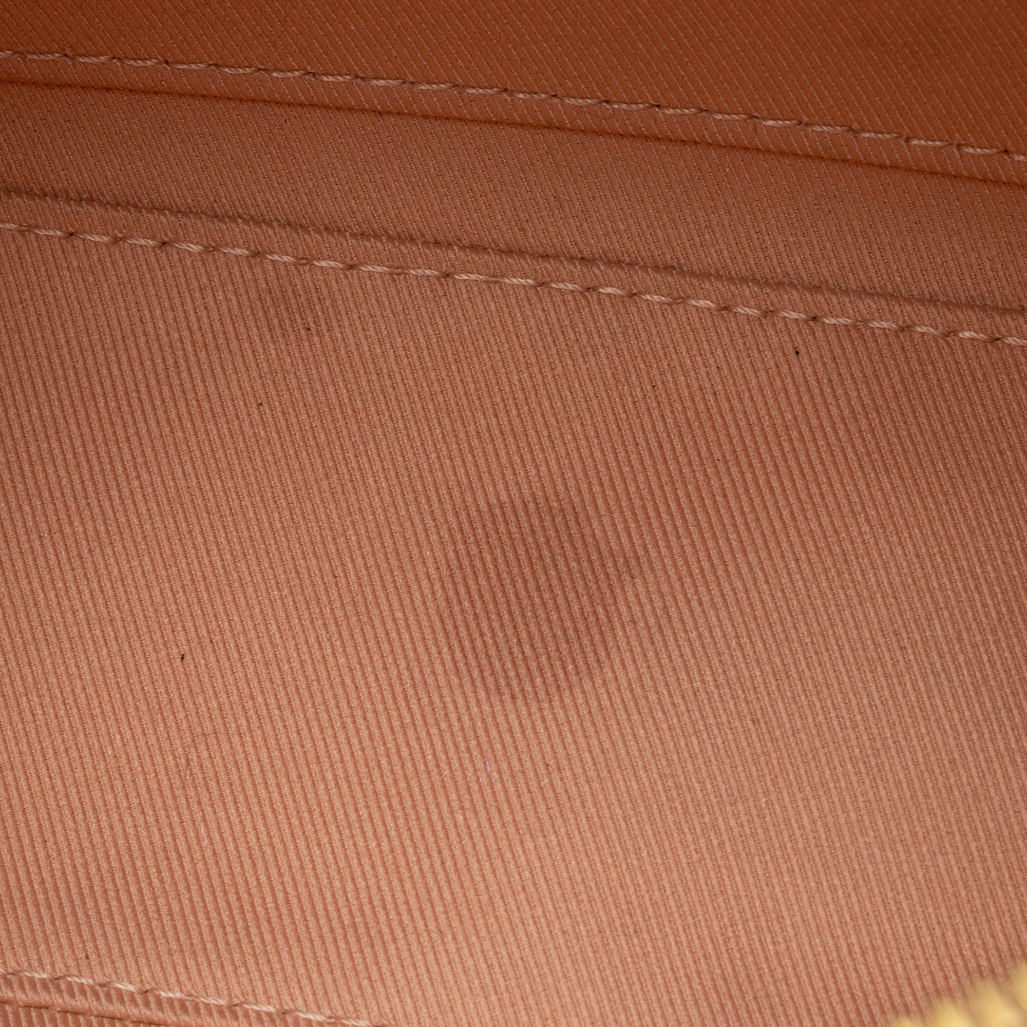 Louis Vuitton Damier Ebene Santa Monica Shoulder Bag (SHF-xbOCN7)