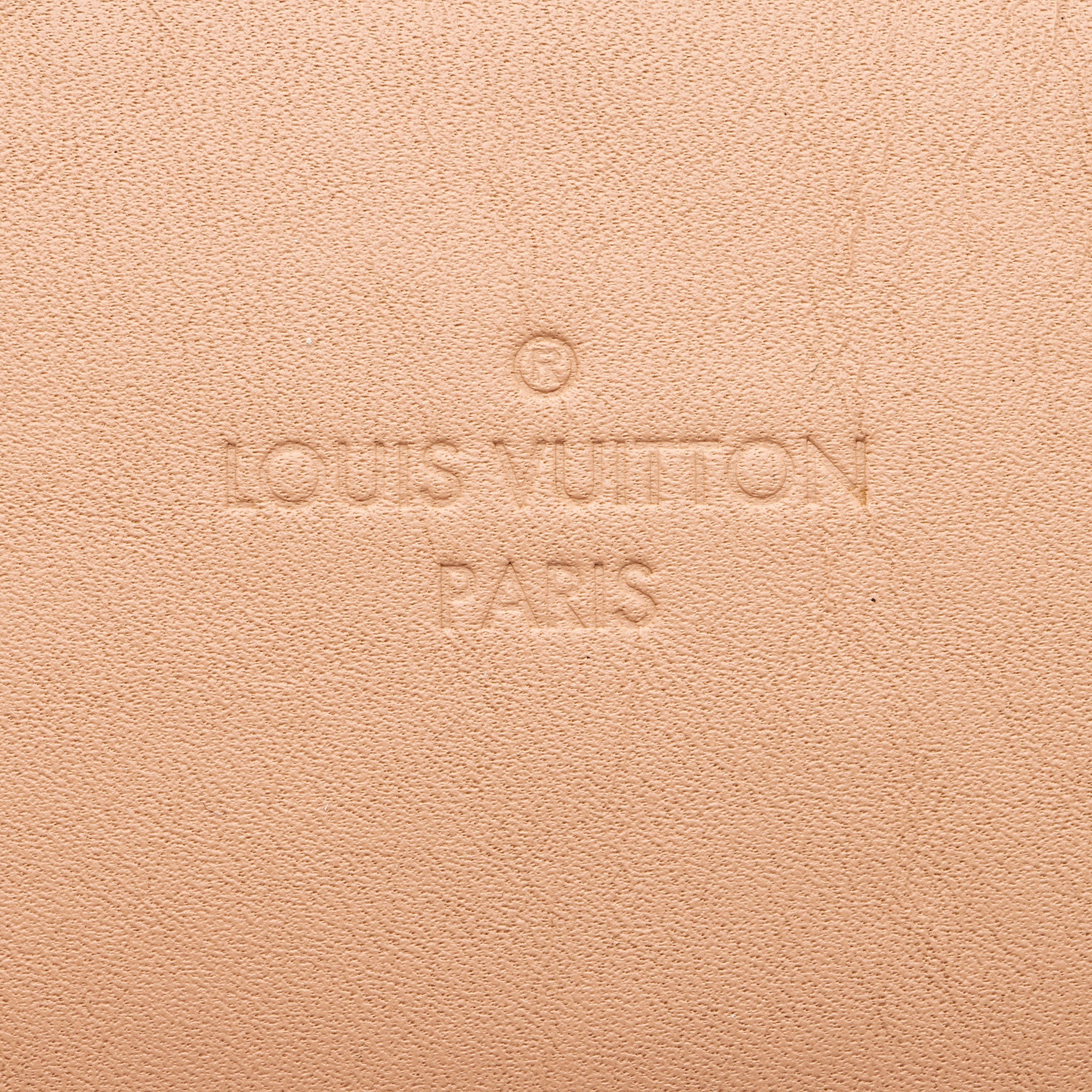 Louis Vuitton Damier Ebene Santa Monica Shoulder Bag (SHF-xbOCN7)