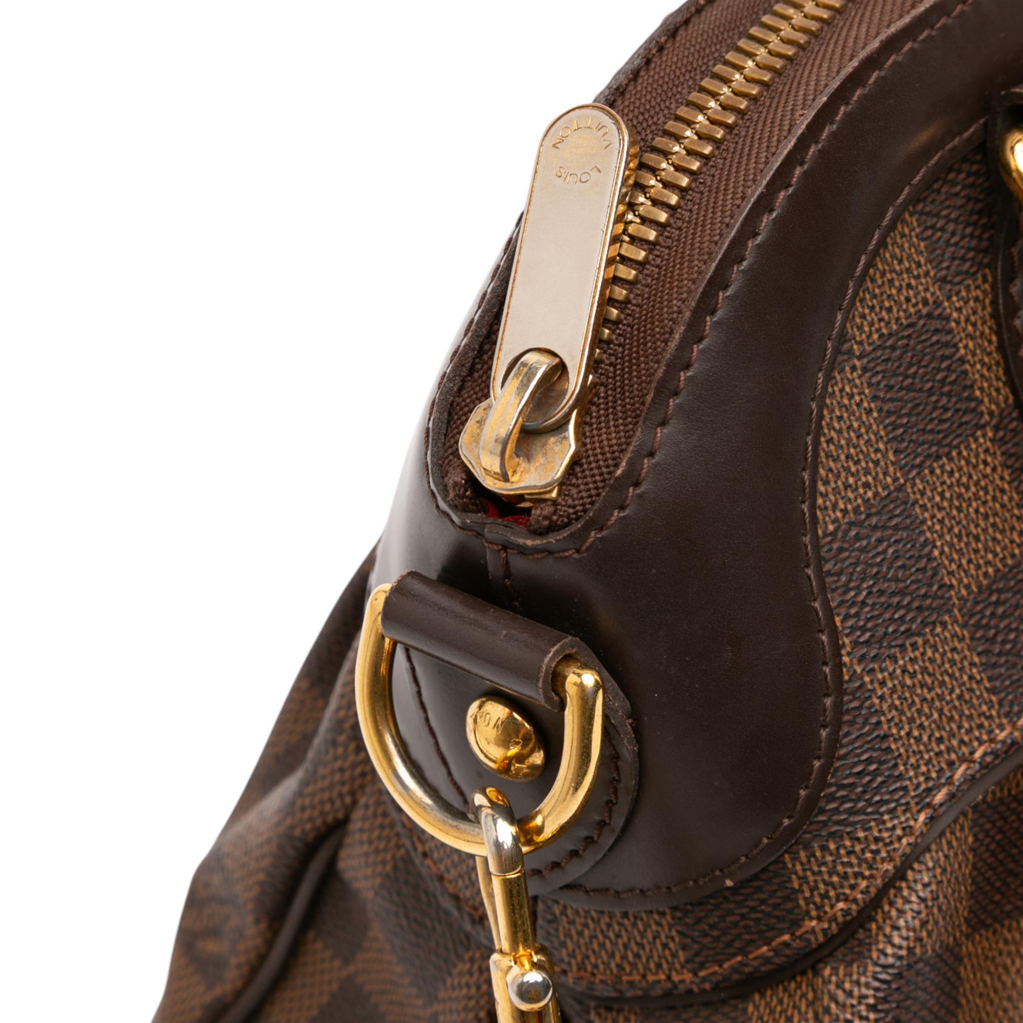 Louis Vuitton Damier Ebene Trevi PM