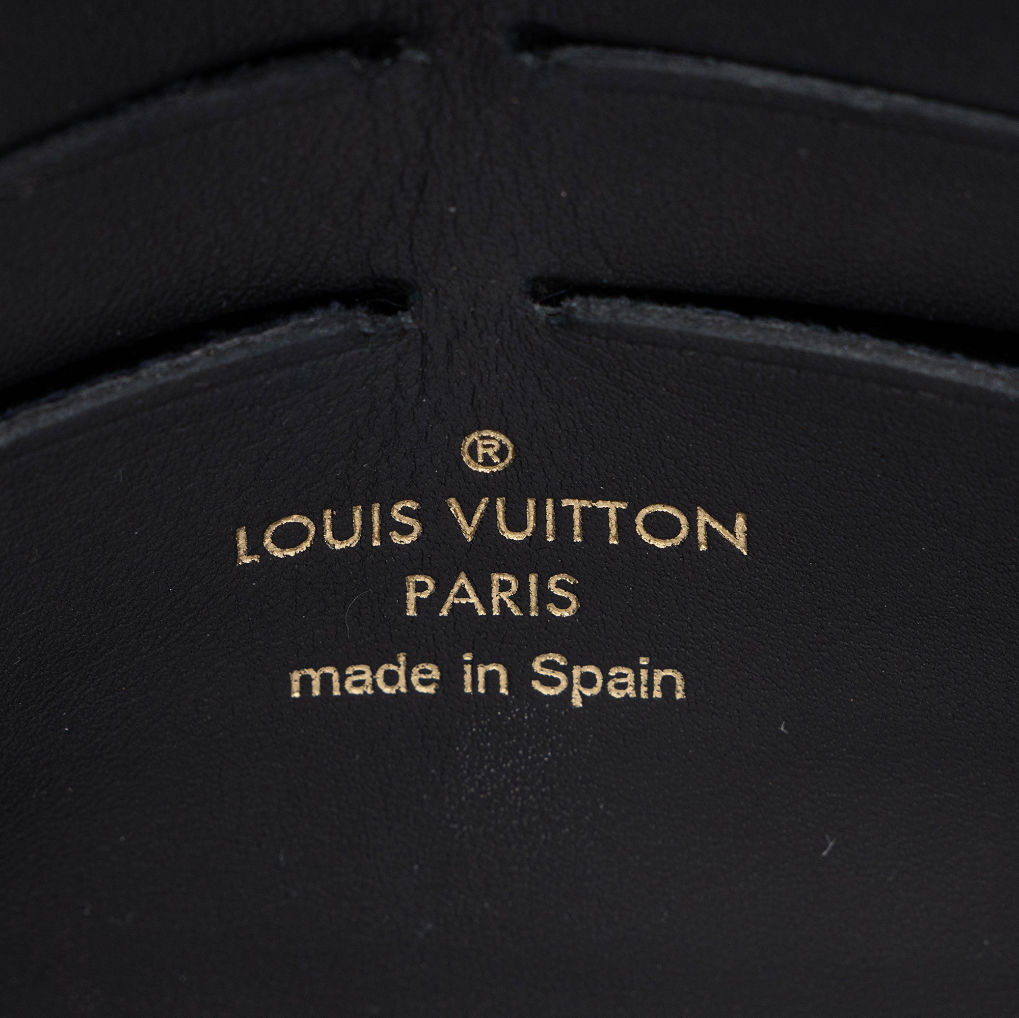 Louis Vuitton Damier Ebene Vavin Chain Wallet