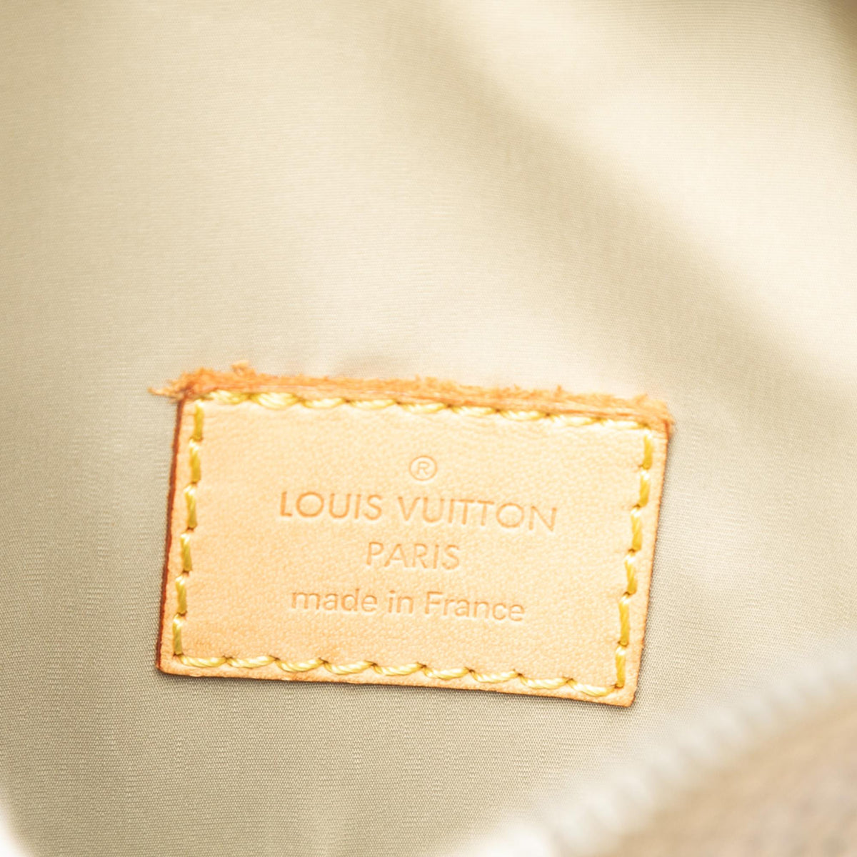 Louis Vuitton Damier Geant Citadin