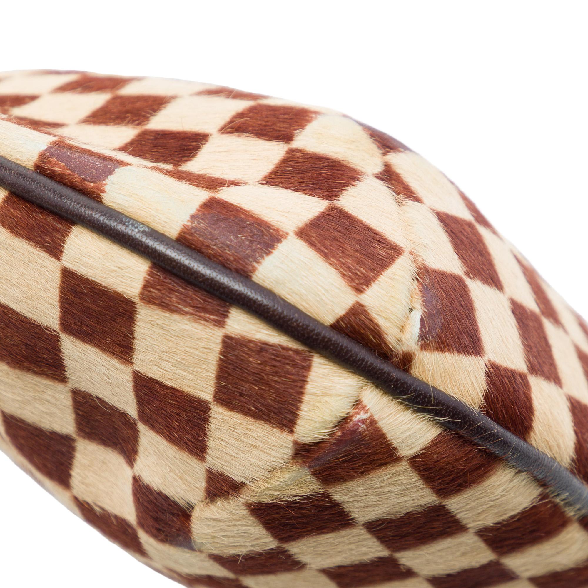 Louis Vuitton Damier Sauvage Tigre
