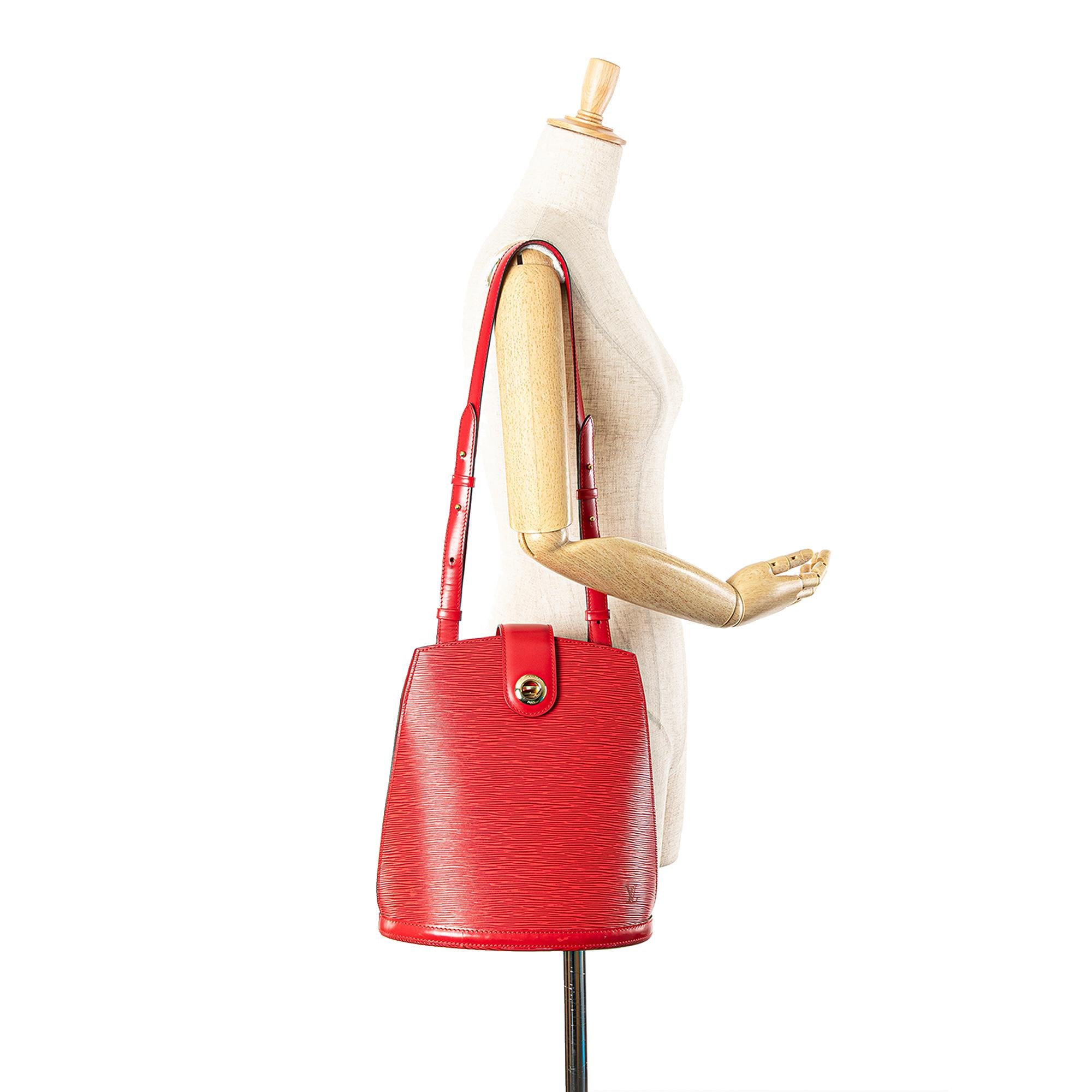 Louis Vuitton Epi Cluny