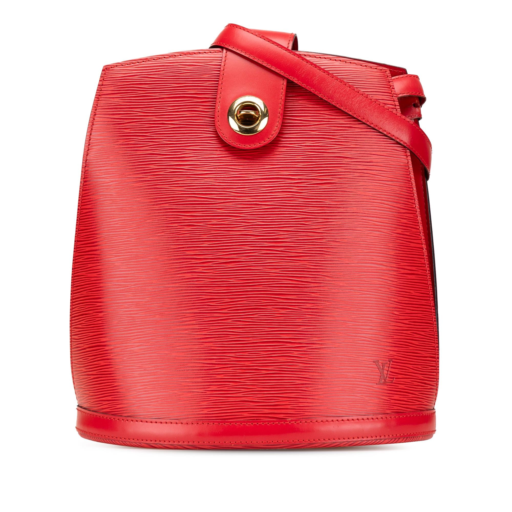 Louis Vuitton Epi Cluny