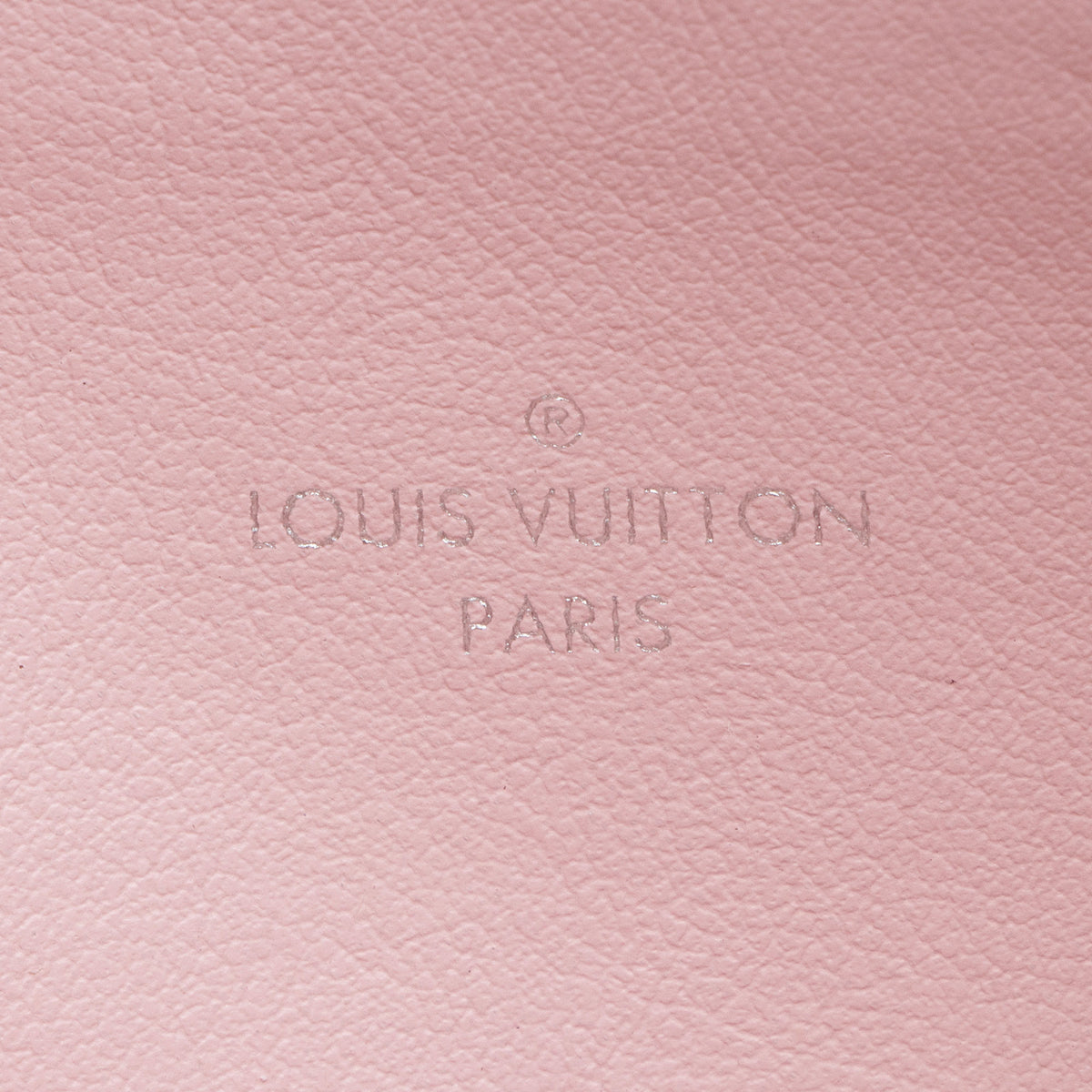 Louis Vuitton Epi Leather Felicie Insert