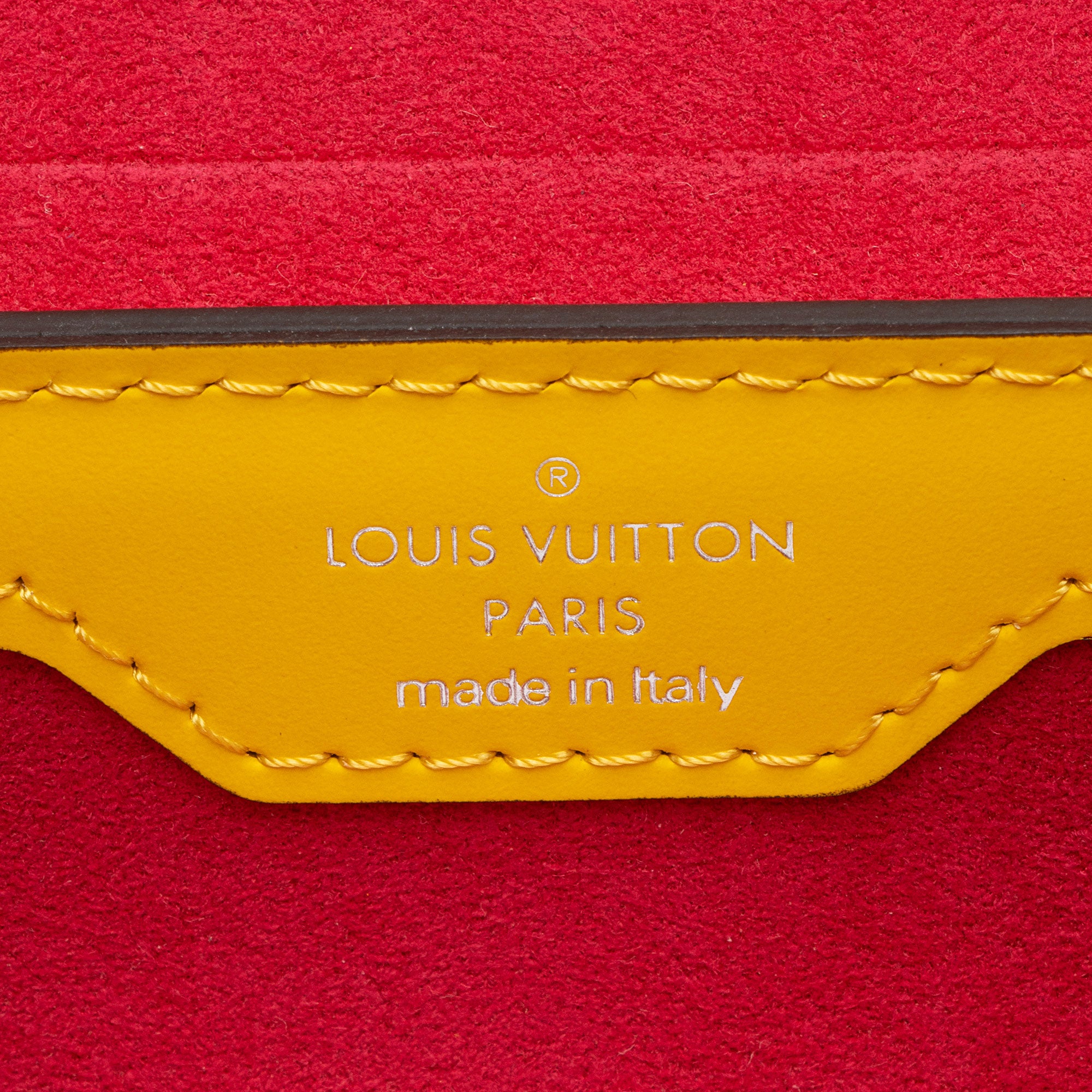 Louis Vuitton Epi Leather Papillon Trunk Bag