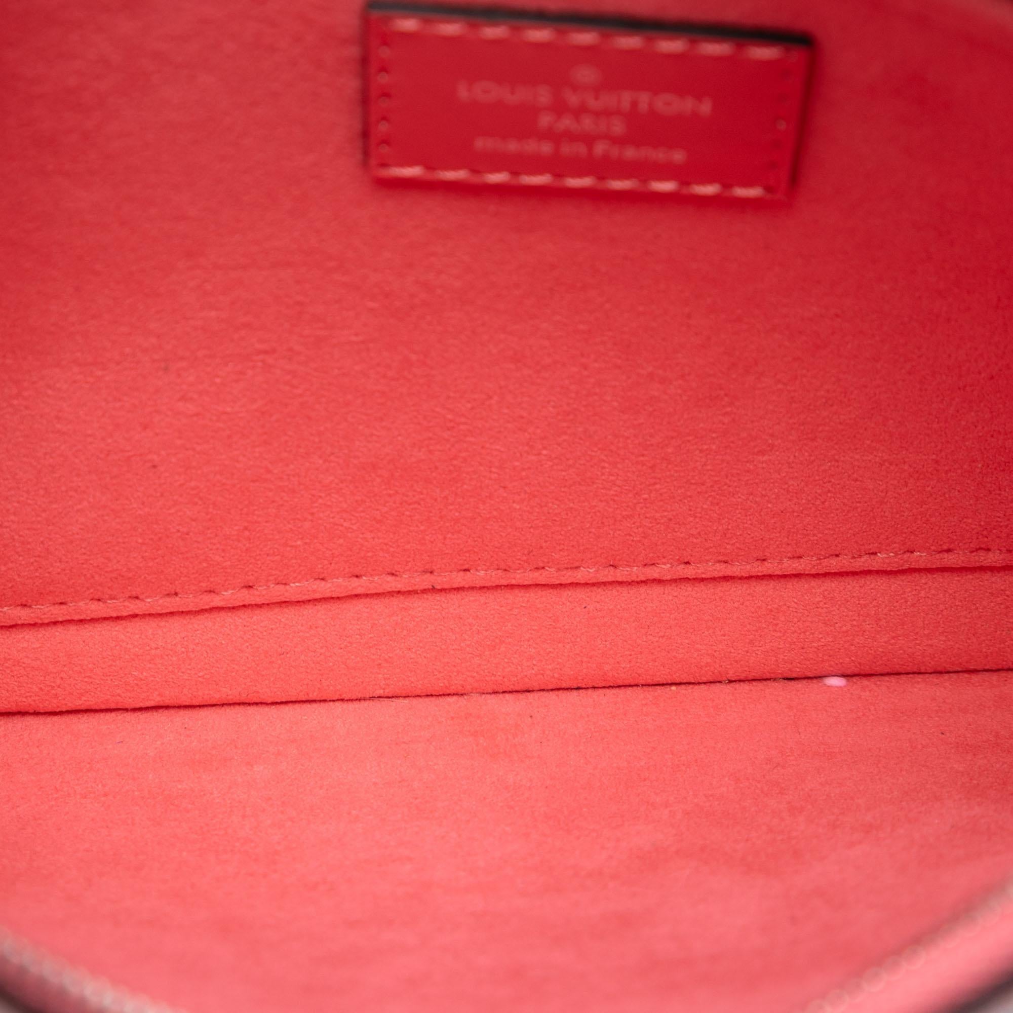 Louis Vuitton Epi Neverfull Pouch