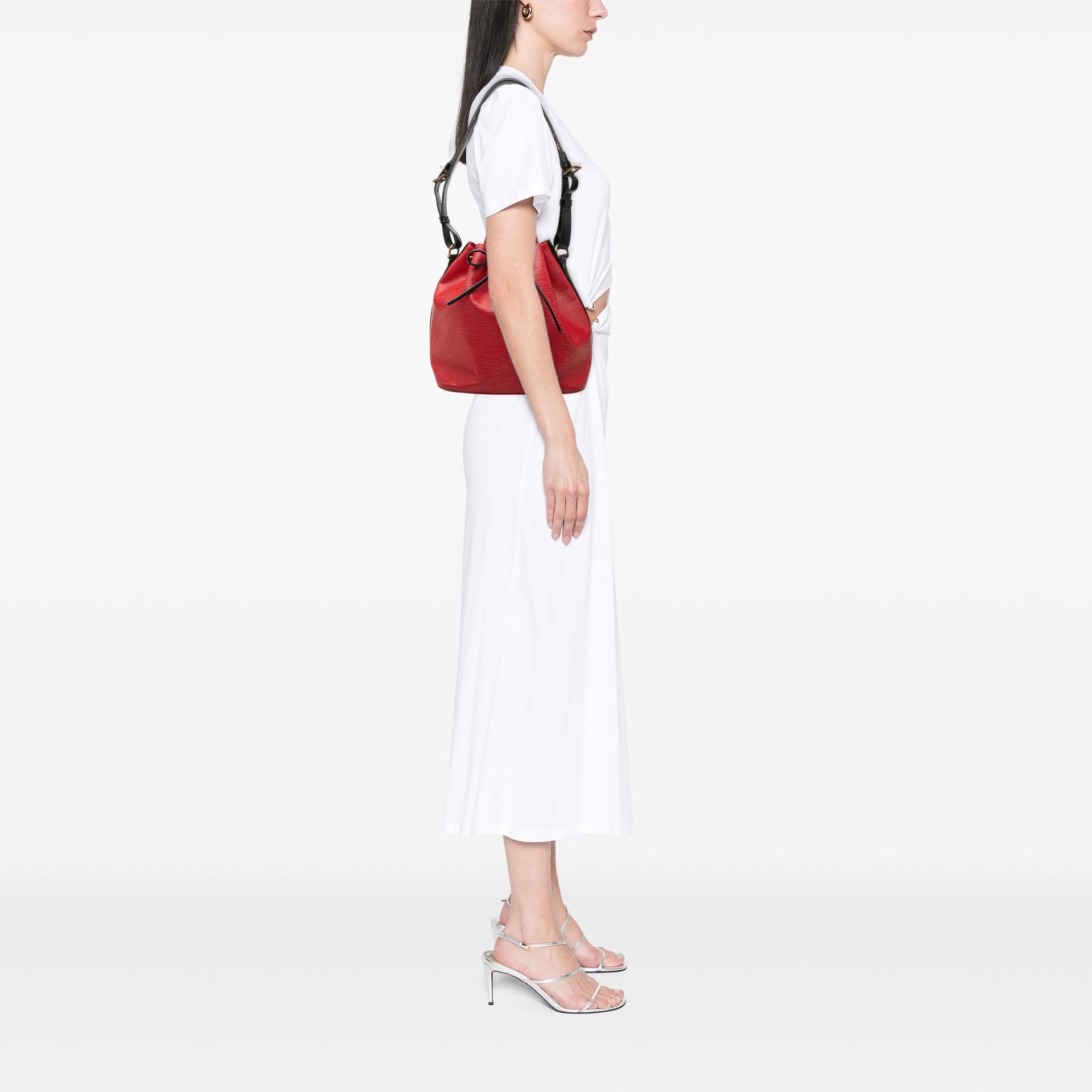 Louis Vuitton Epi Petit Bicolor Noe