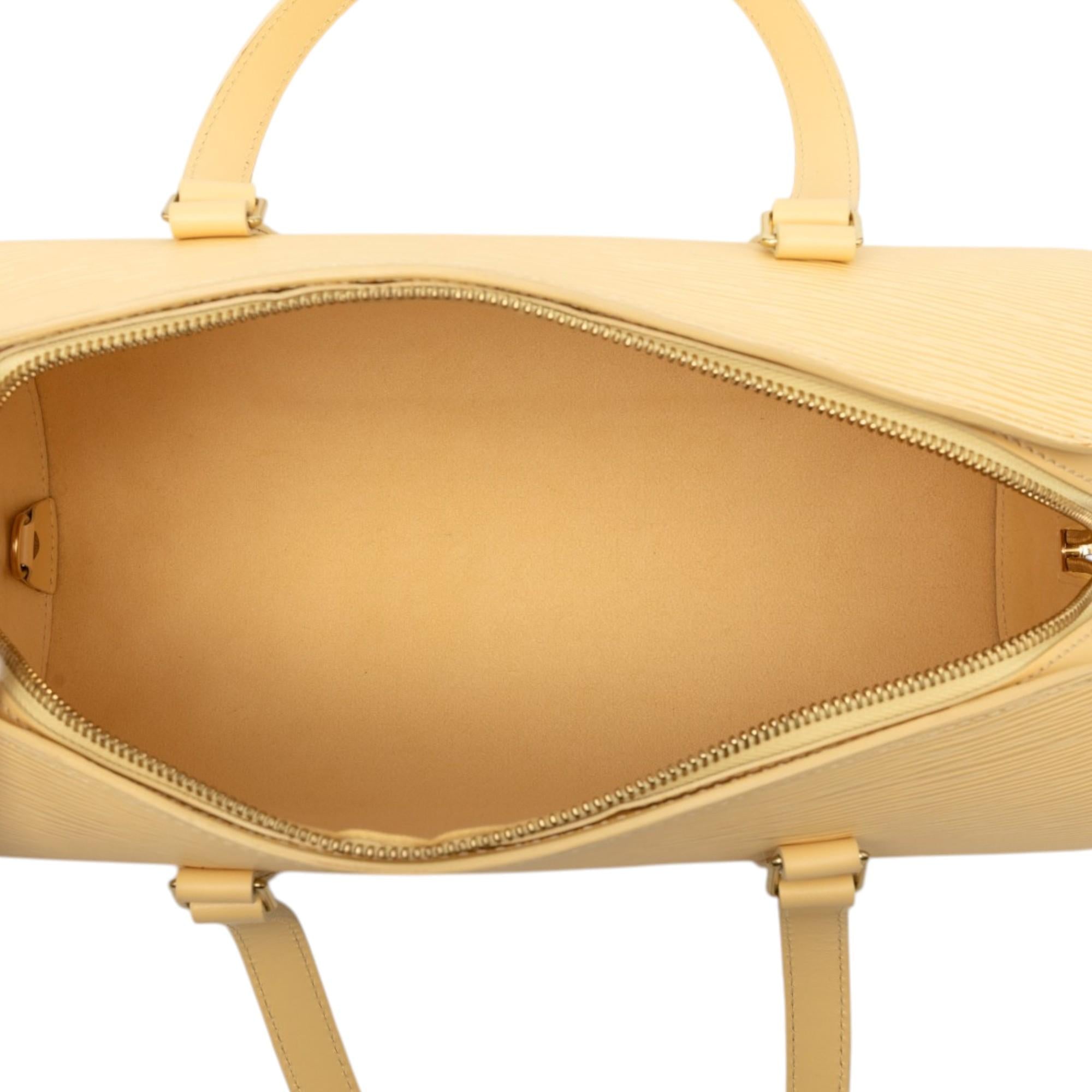 Louis Vuitton Epi Soufflot