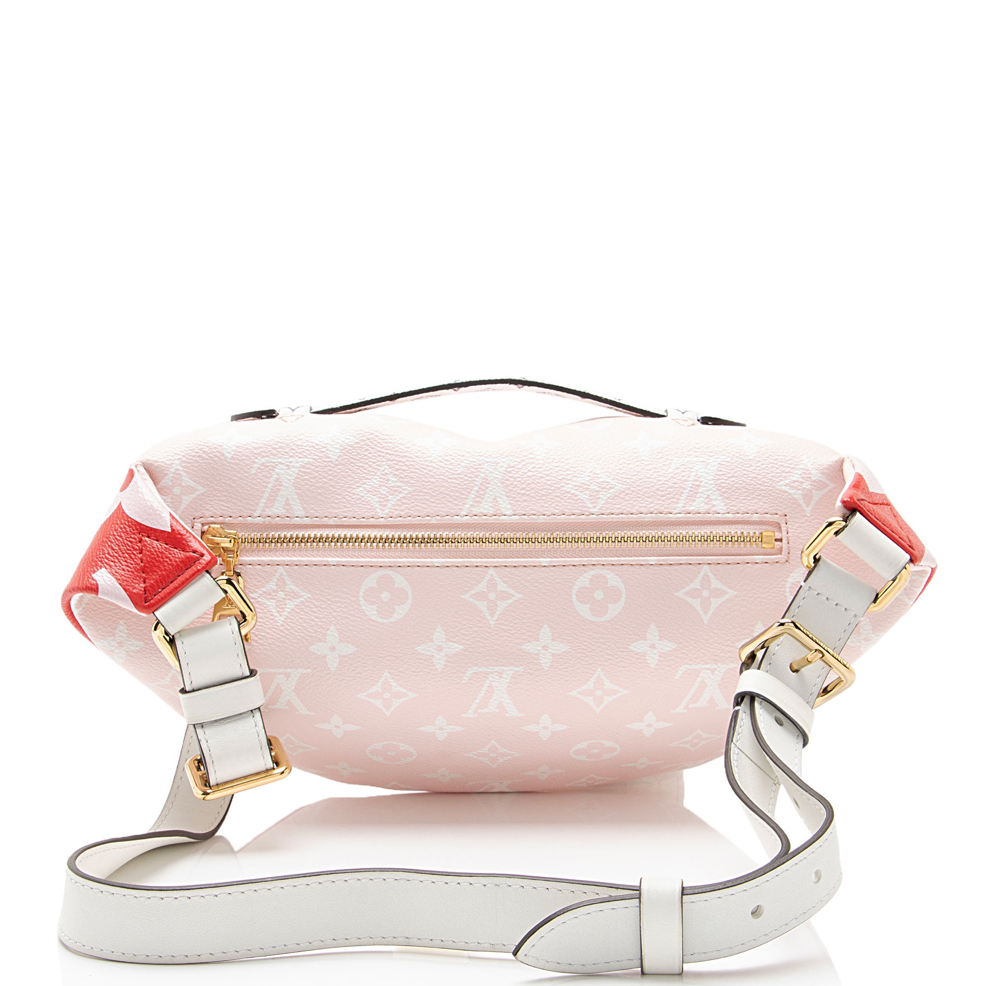 Louis Vuitton Giant Monogram Canvas Bumbag