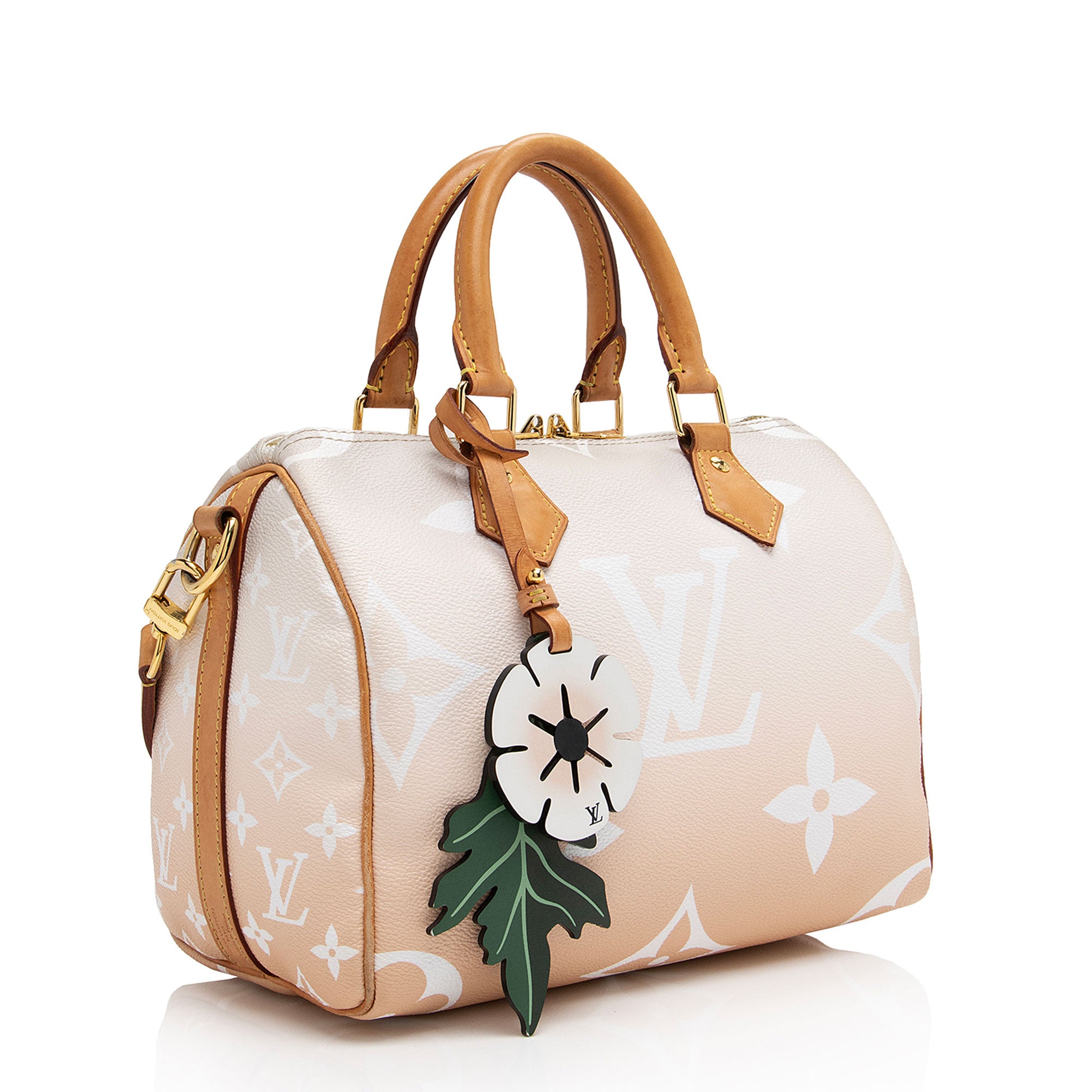 Louis Vuitton Giant Monogram Canvas By The Pool Speedy