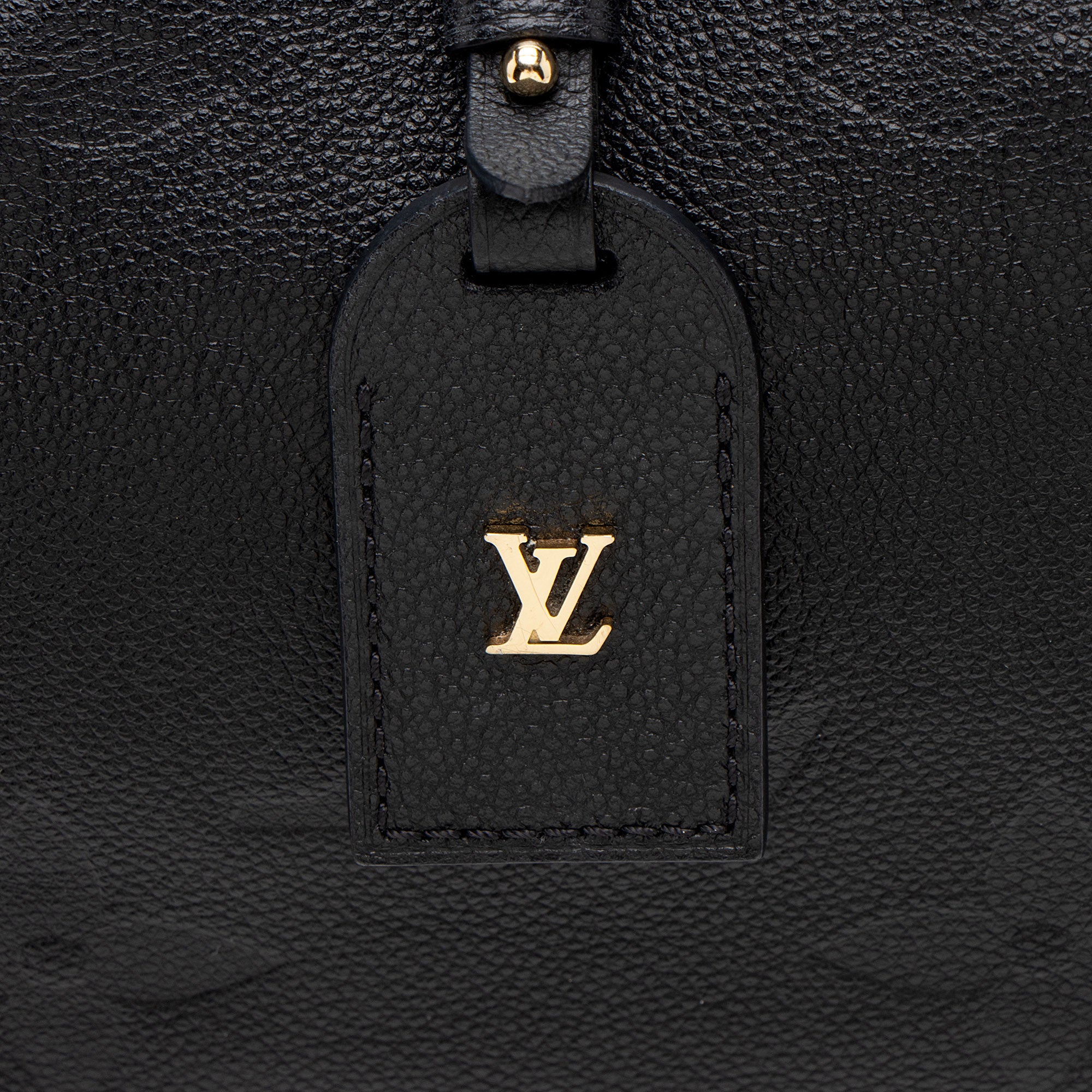 Louis Vuitton Giant Monogram Empreinte CarryAll PM Shoulder Bag