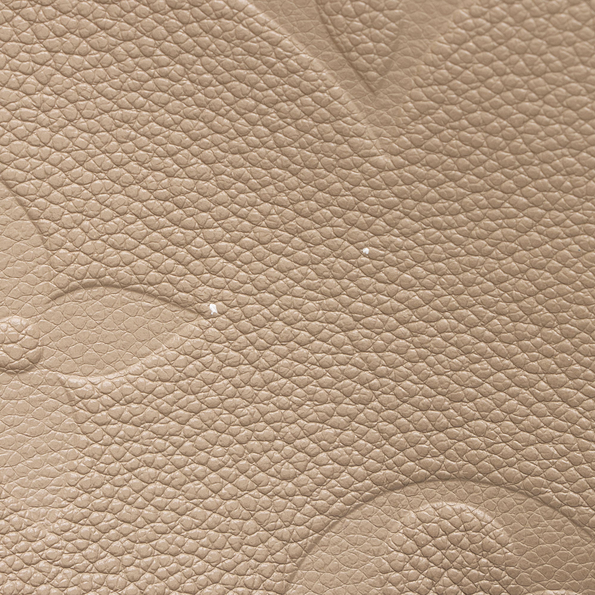 Louis Vuitton Giant Monogram Empreinte Neverfull MM Tote