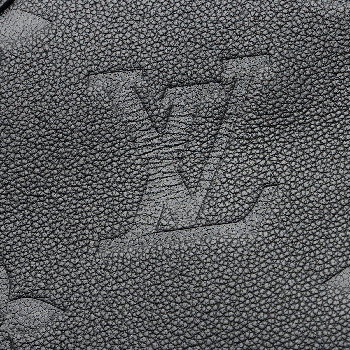 Louis Vuitton Giant Monogram Empreinte Wild Onthego MM Tote