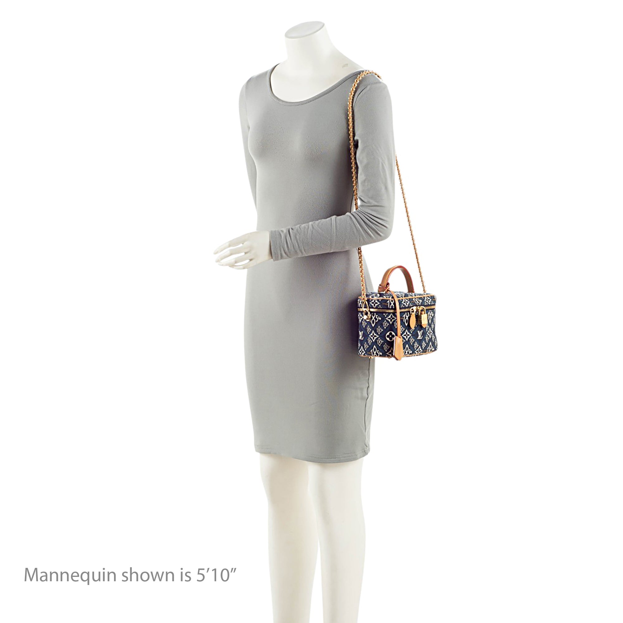 Louis Vuitton Limited Edition Jacquard Since 1854 Pochette Vanity PM Shoulder Bag