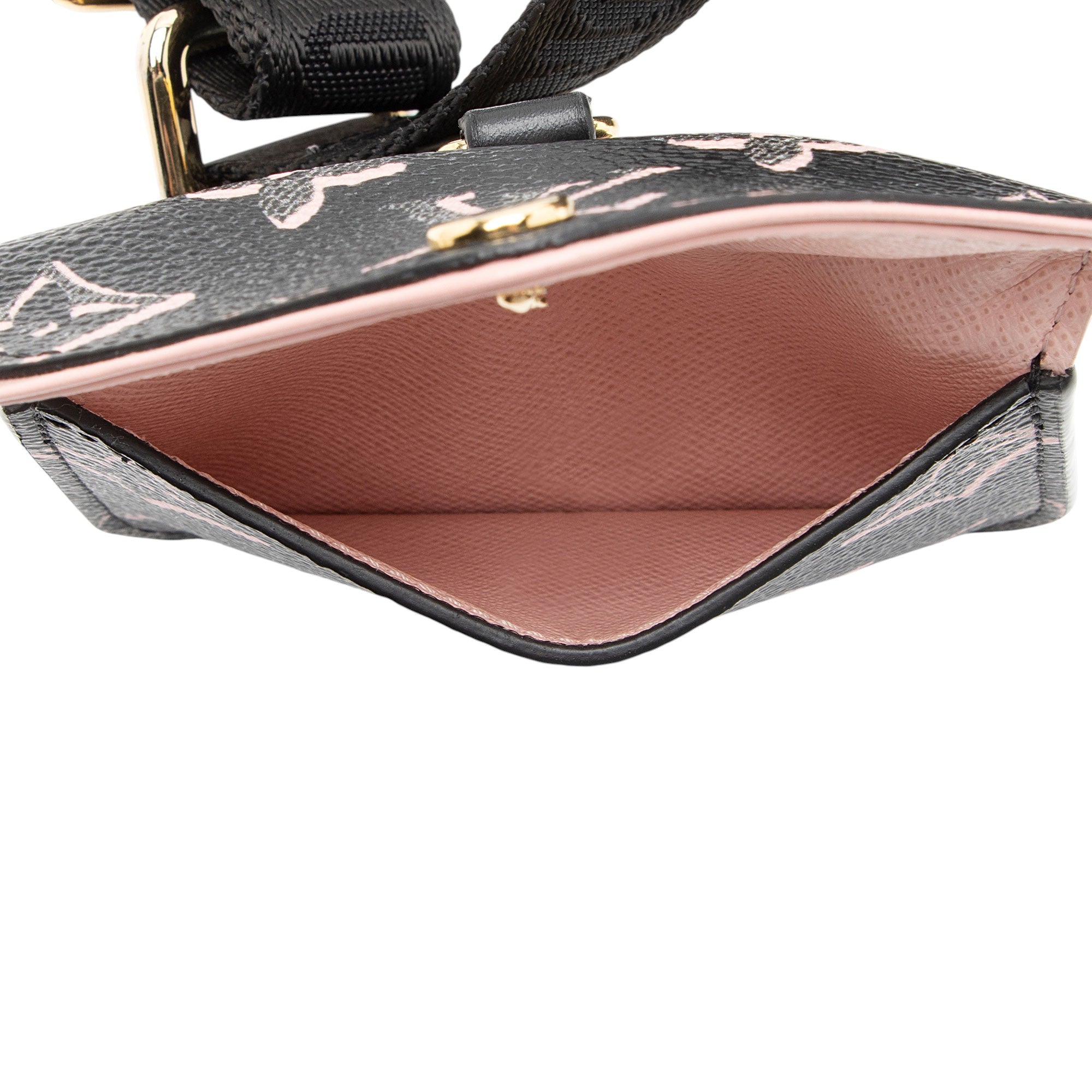 Louis Vuitton Limited Edition Monogram Canvas Fall For You Felicie Strap & Go
