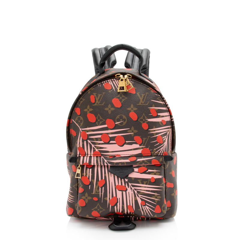 Louis Vuitton Monogram Palm Springs PM Backpack - A World Of Goods