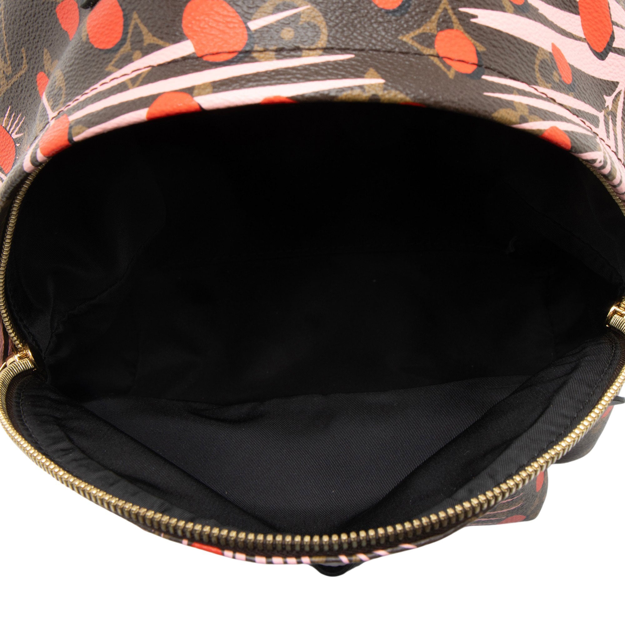 Louis Vuitton Limited Edition Monogram Canvas Jungle Dots Palm Springs PM Backpack