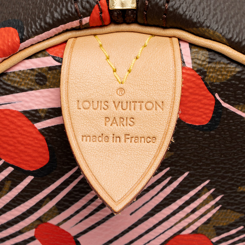 Louis Vuitton Limited Edition Monogram Canvas Jungle Dots Speedy 30 Satchel (SHF-mhBF2N)
