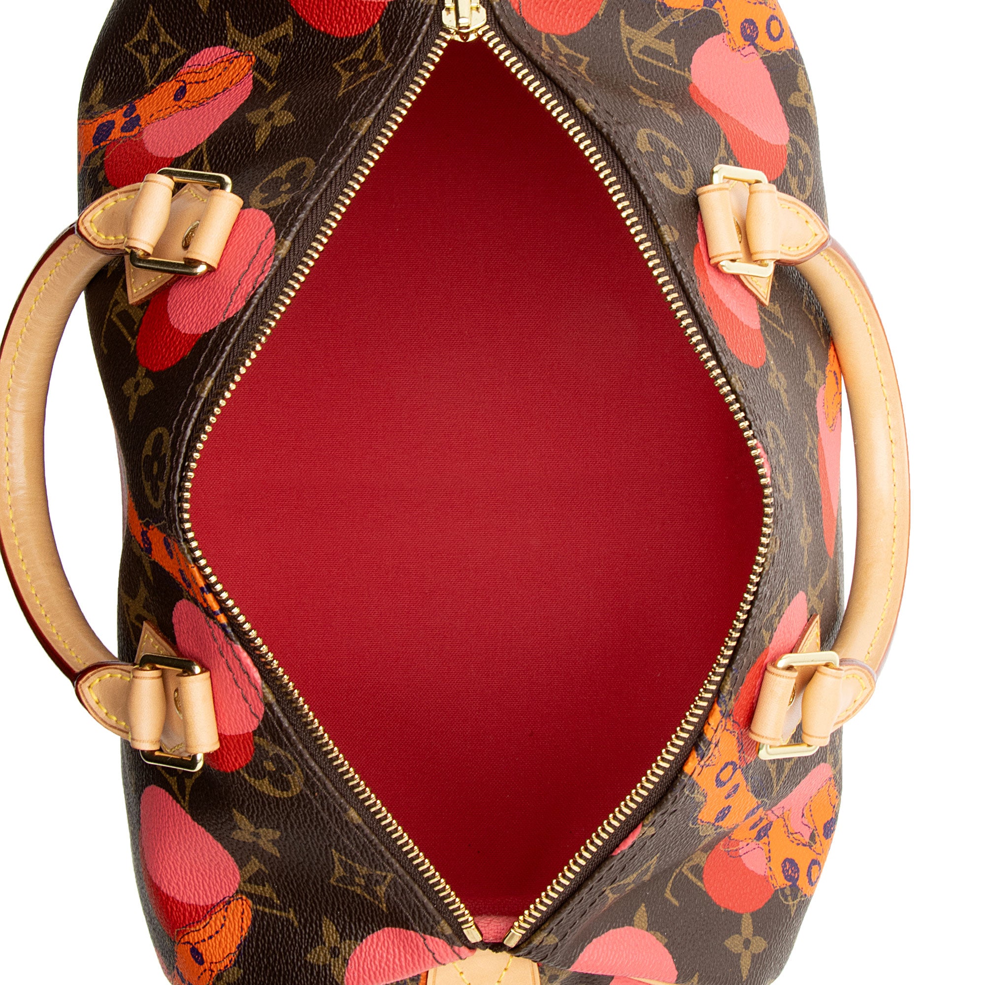 Louis Vuitton Limited Edition Monogram Canvas Ramages Speedy 30 Satchel (SHF-IZ2sCS)