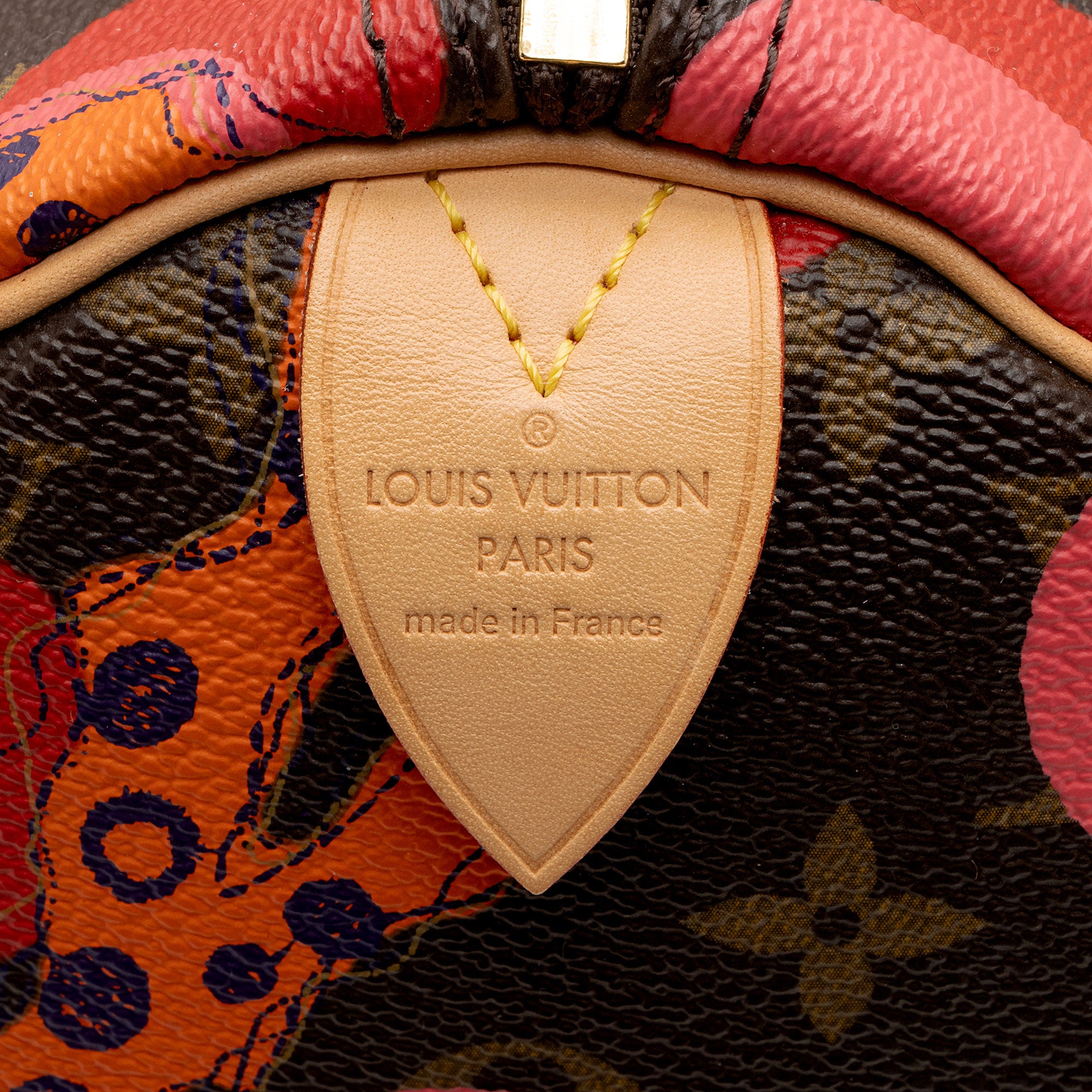 Louis Vuitton Limited Edition Monogram Canvas Ramages Speedy 30 Satchel (SHF-IZ2sCS)