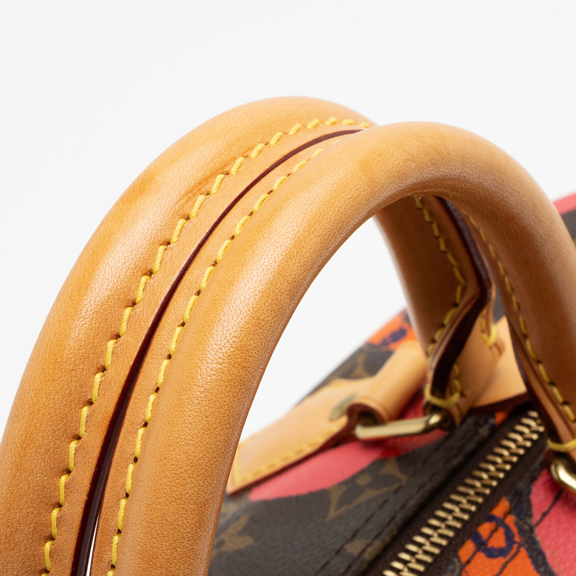 Louis Vuitton Limited Edition Monogram Canvas Ramages Speedy 30 Satchel