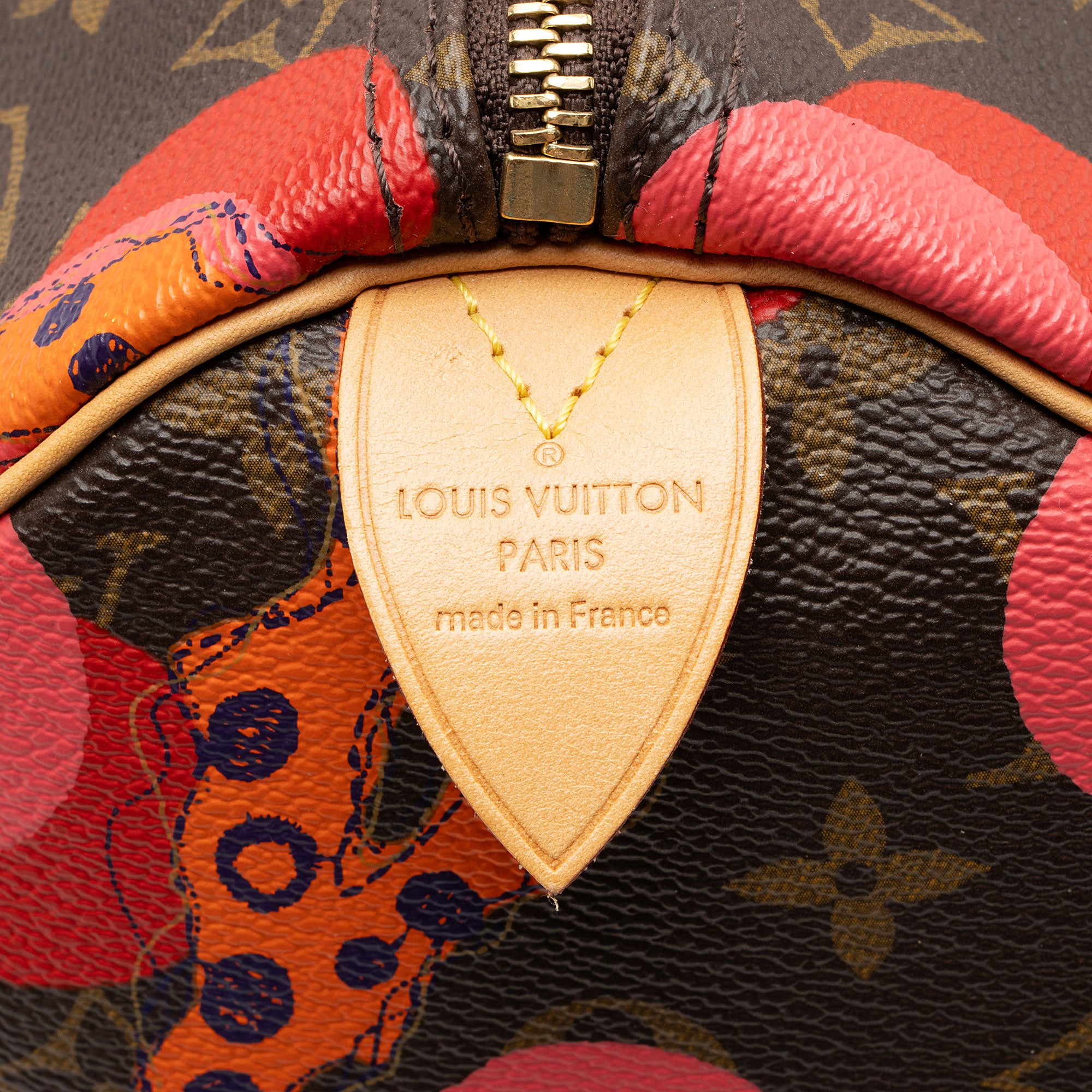 Louis Vuitton Limited Edition Monogram Canvas Ramages Speedy 30 Satchel