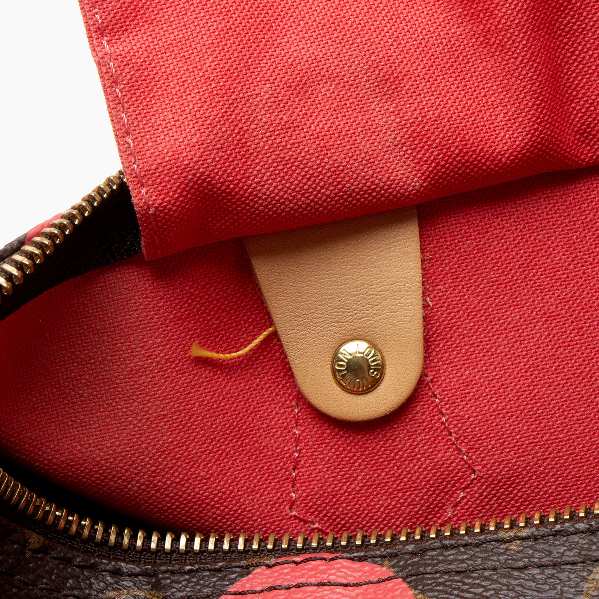 Louis Vuitton Limited Edition Monogram Canvas Ramages Speedy 30 Satchel