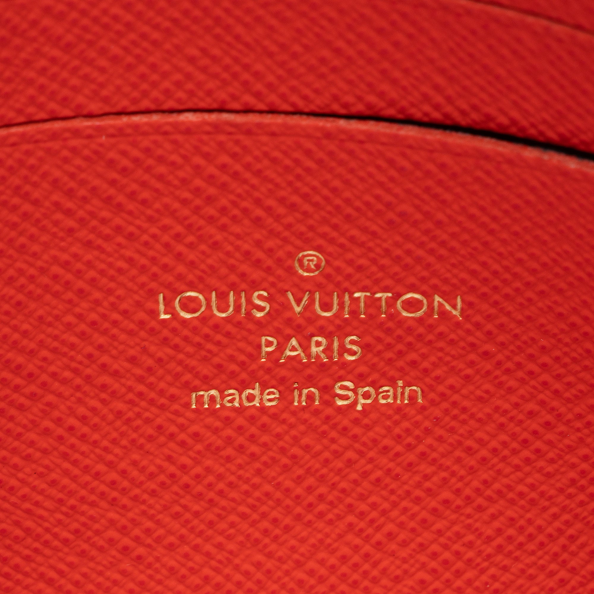 Louis Vuitton Limited Edition Monogram Crafty Double Zip Pochette