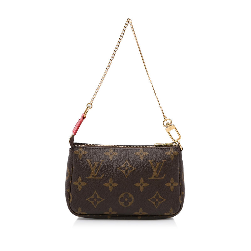 Louis Vuitton Pochette Accessoires Limited Edition Vivienne Xmas Damier  Mini Brown 22124158