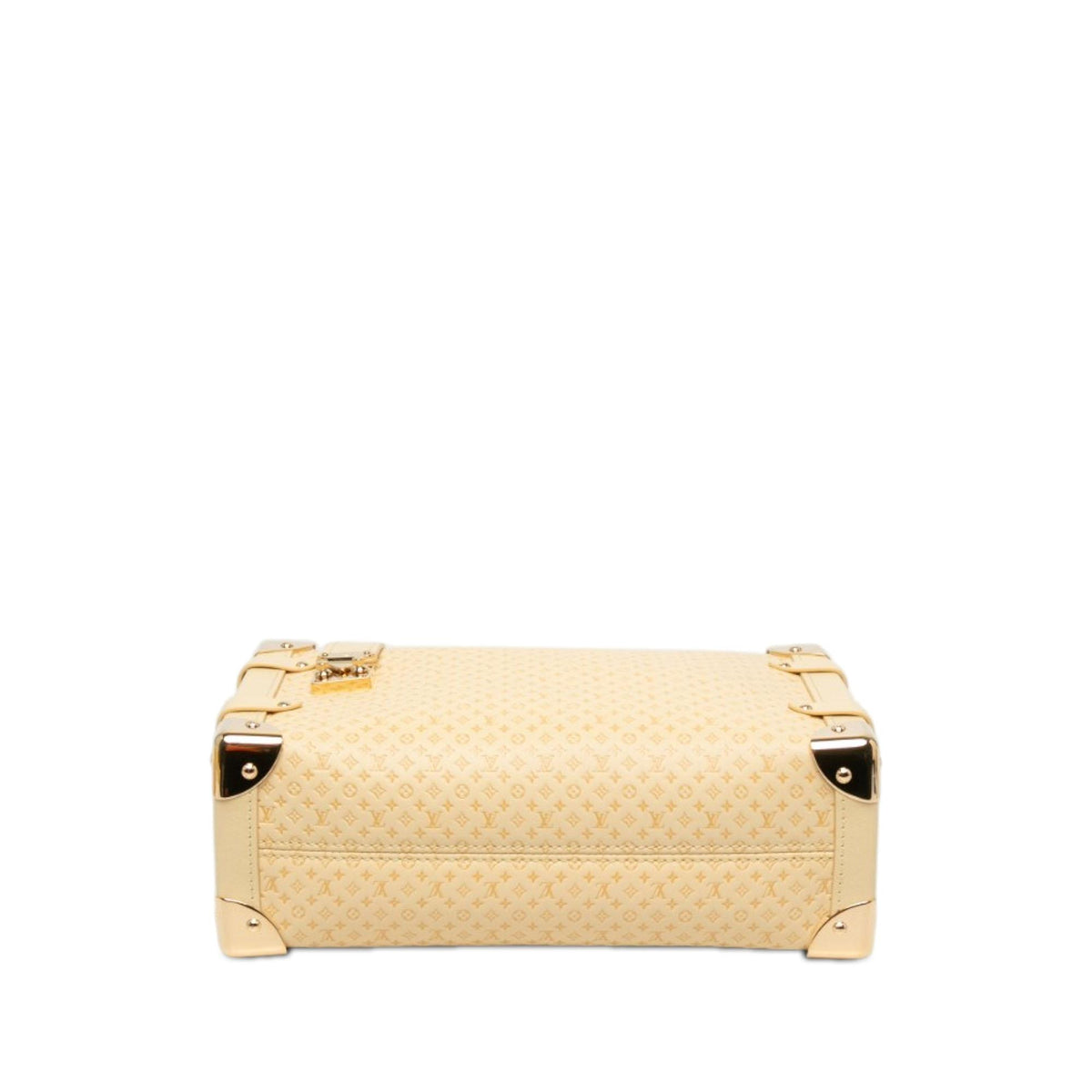 Louis Vuitton Minigram Calfskin Side Trunk MM