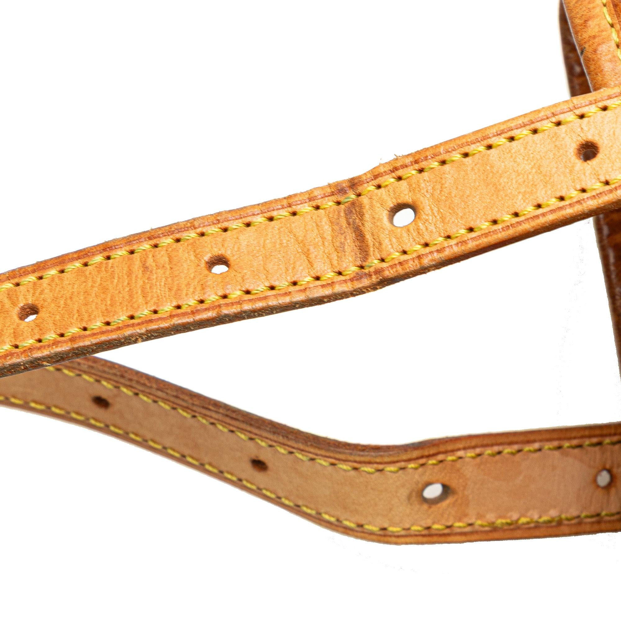 Louis Vuitton Monogram Bucket GM