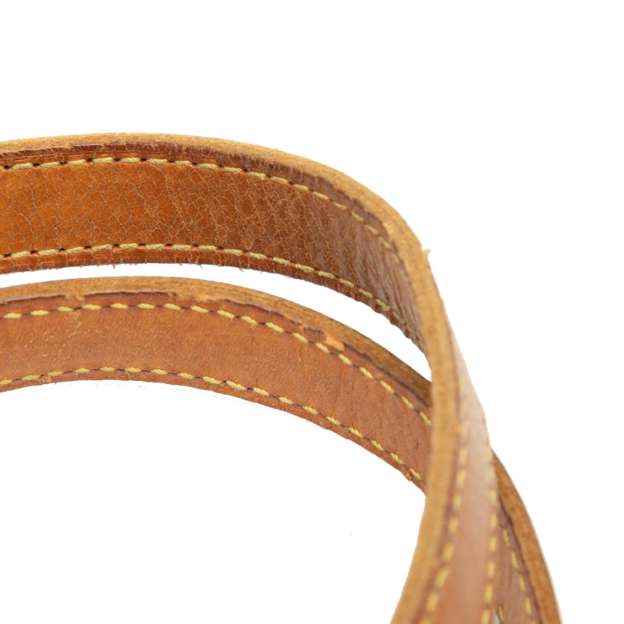 Louis Vuitton Monogram Bucket GM