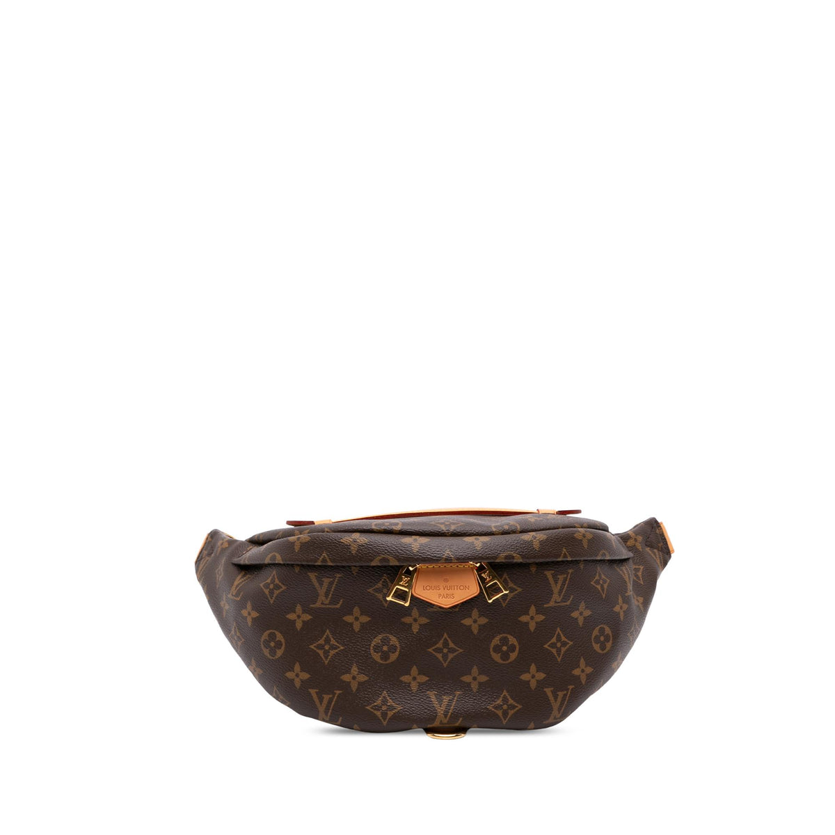 Louis Vuitton Monogram Bumbag