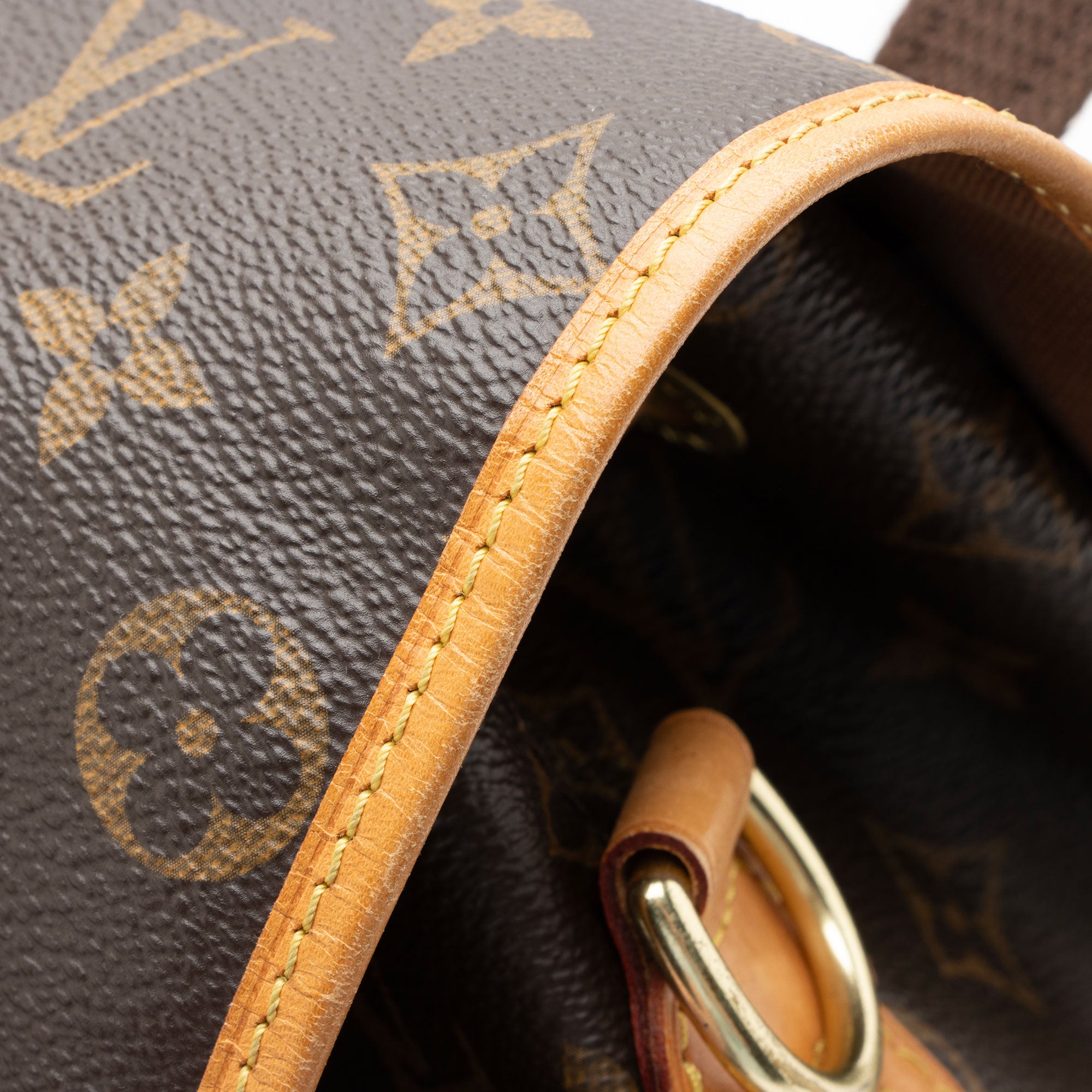 Louis Vuitton Monogram Canvas Bosphore Backpack