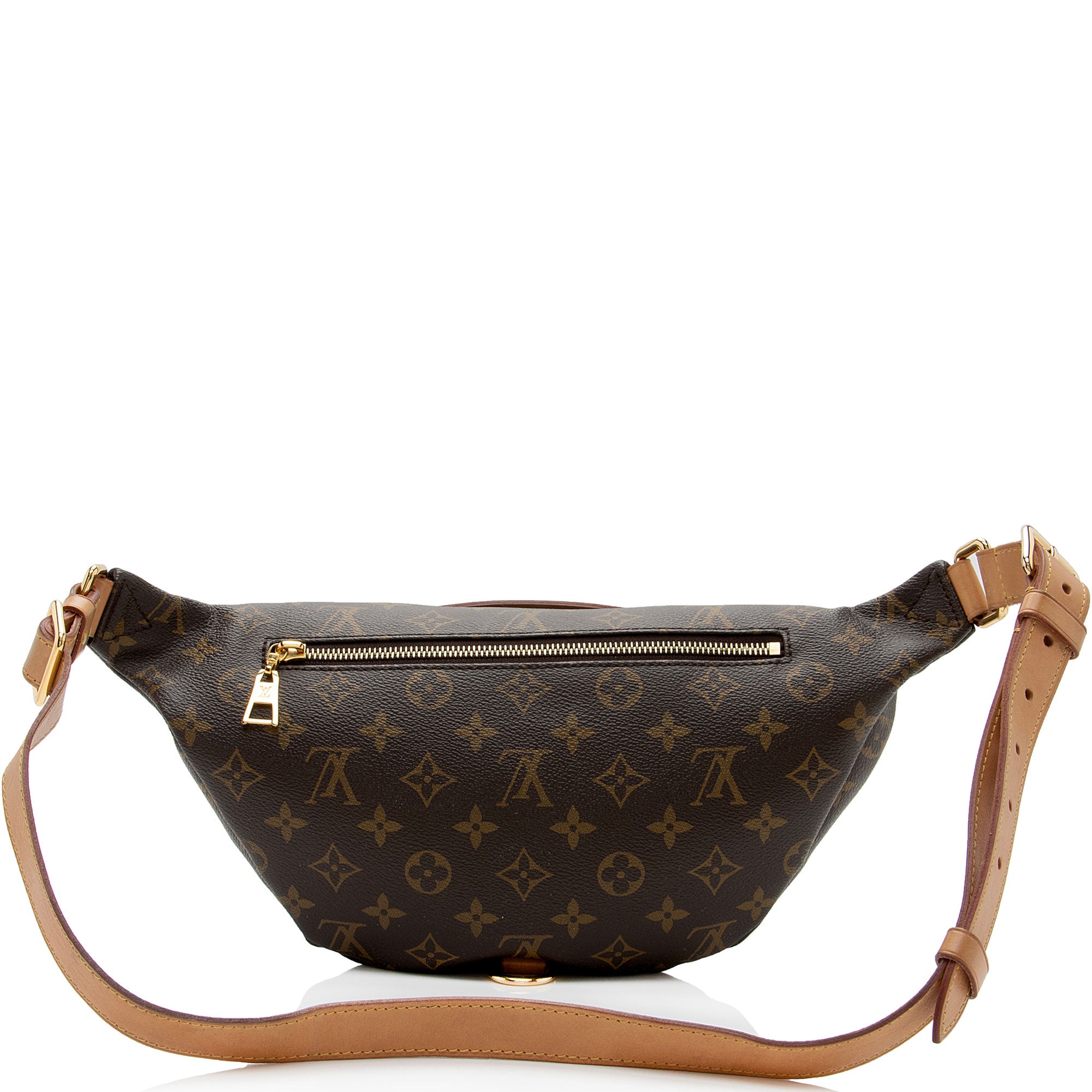 Louis Vuitton Monogram Canvas Bumbag (SHF-jJohPu)