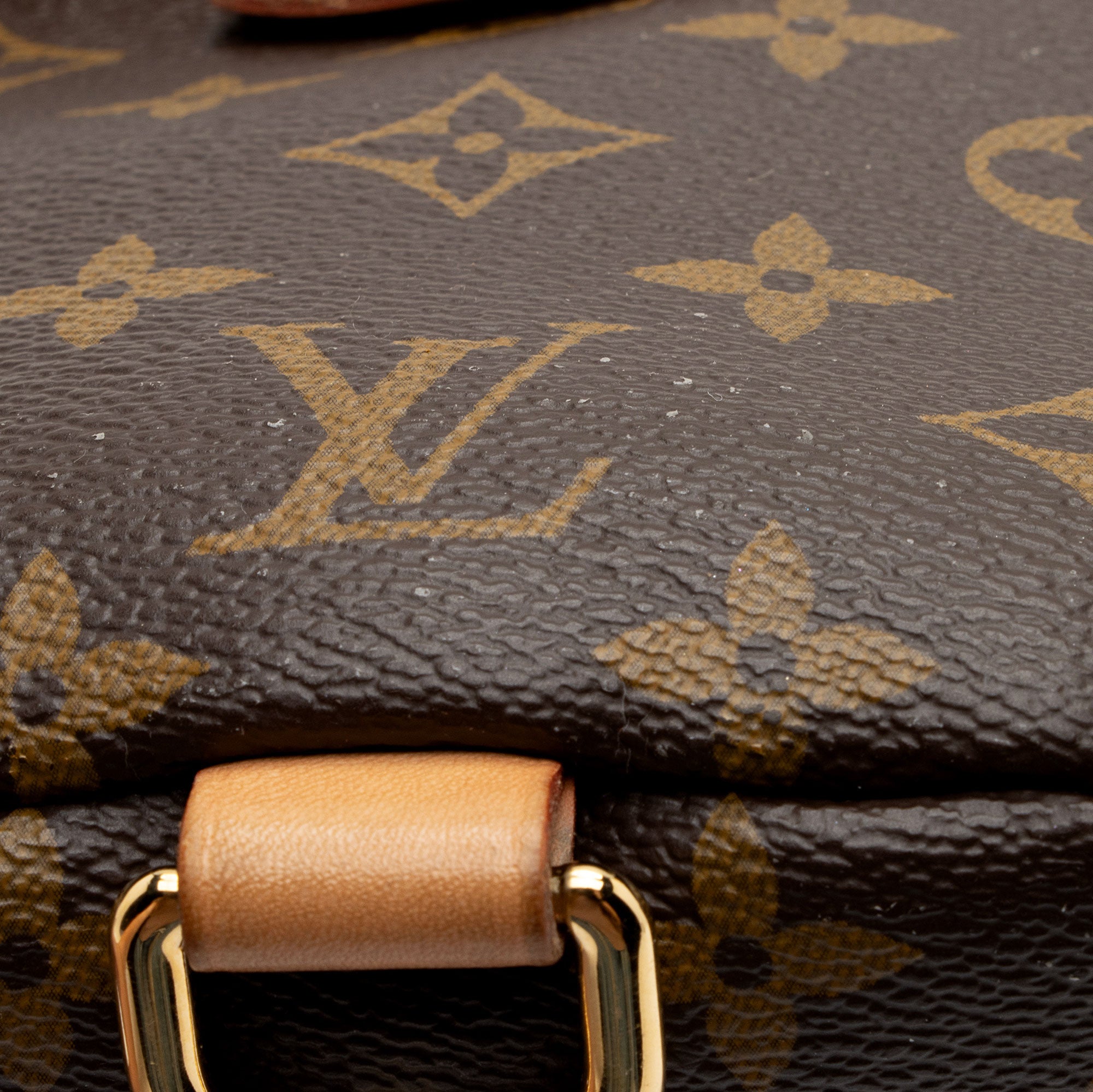 Louis Vuitton Monogram Canvas Bumbag (SHF-jJohPu)