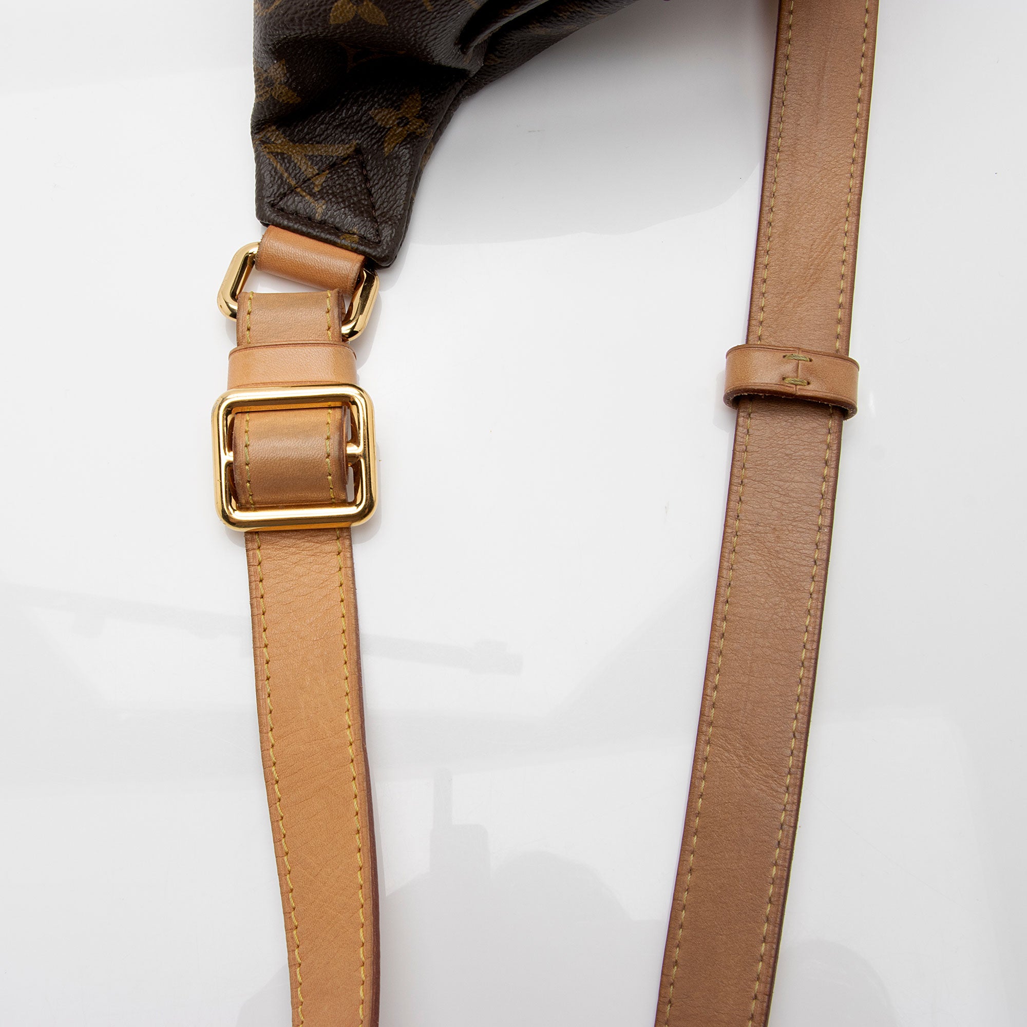 Louis Vuitton Monogram Canvas Bumbag (SHF-jJohPu)