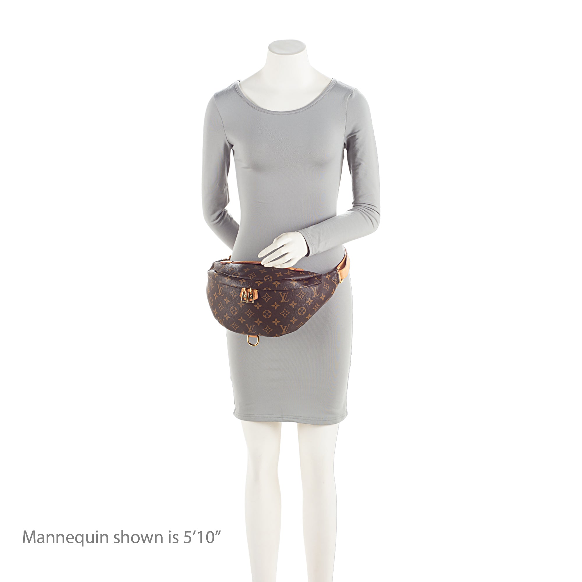 Louis Vuitton Monogram Canvas Bumbag (SHF-NGDAHd)