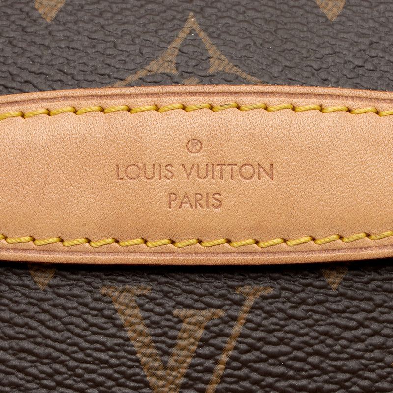 Louis Vuitton Monogram Canvas Bumbag (SHF-T9KBHb)