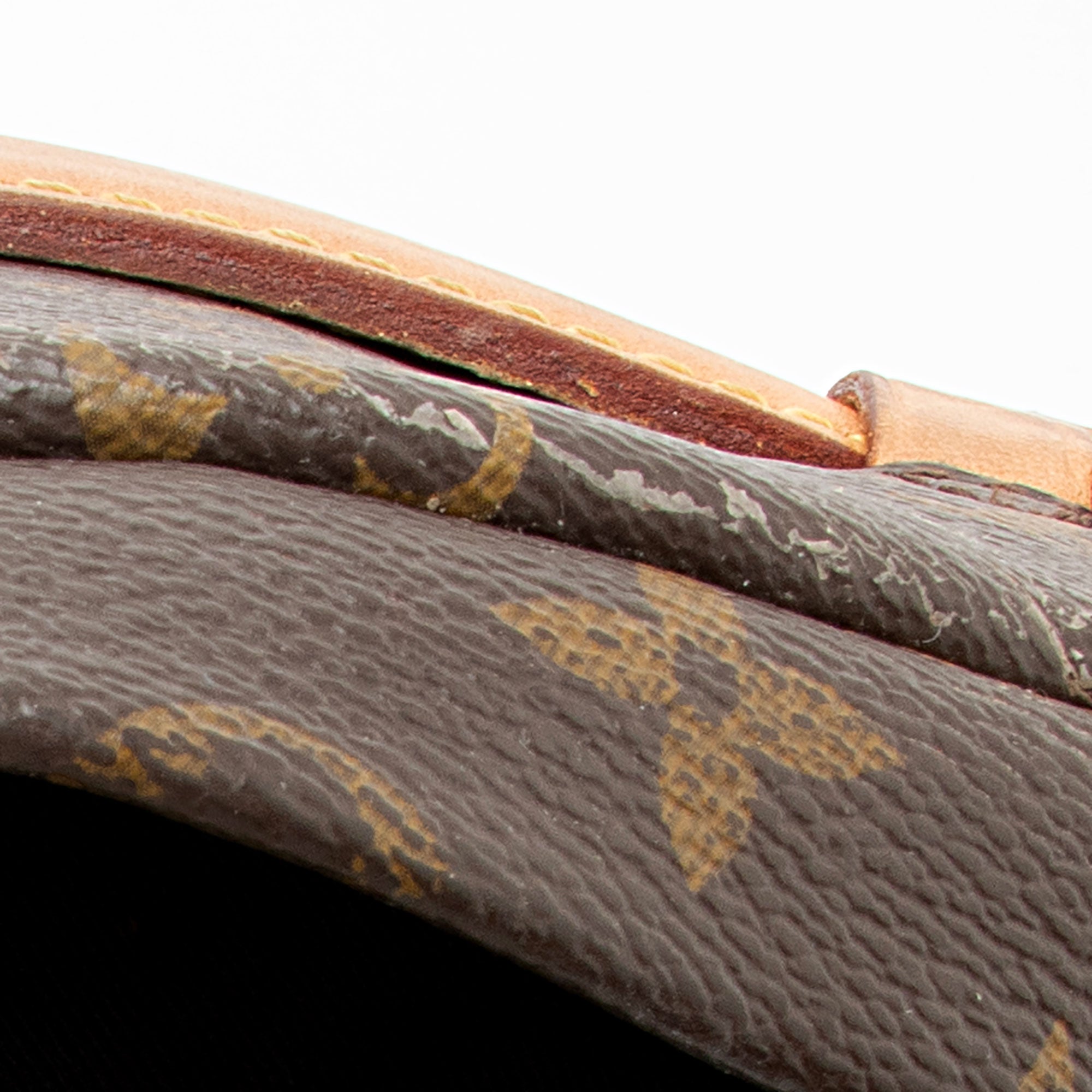 Louis Vuitton Monogram Canvas Bumbag