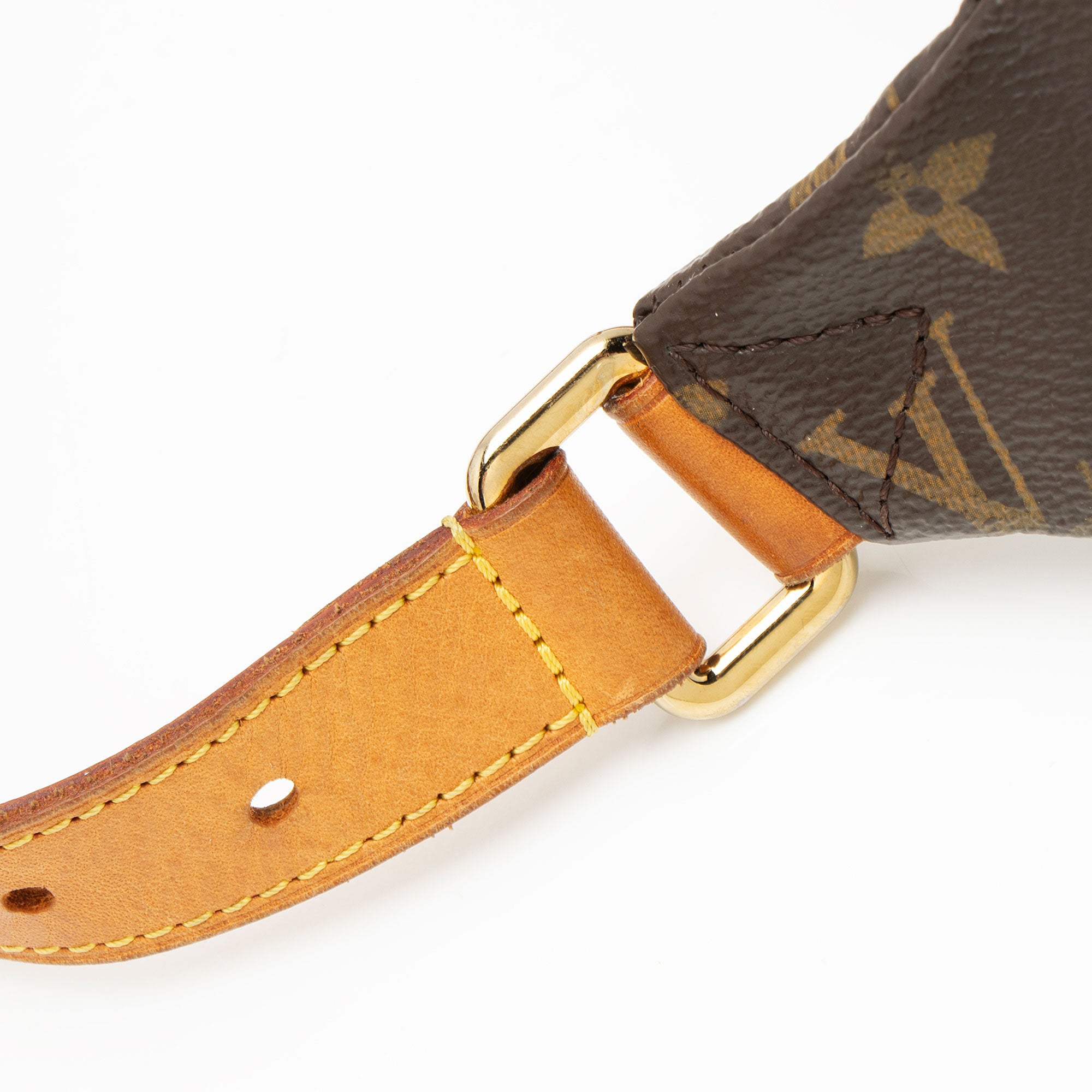 Louis Vuitton Monogram Canvas Bumbag
