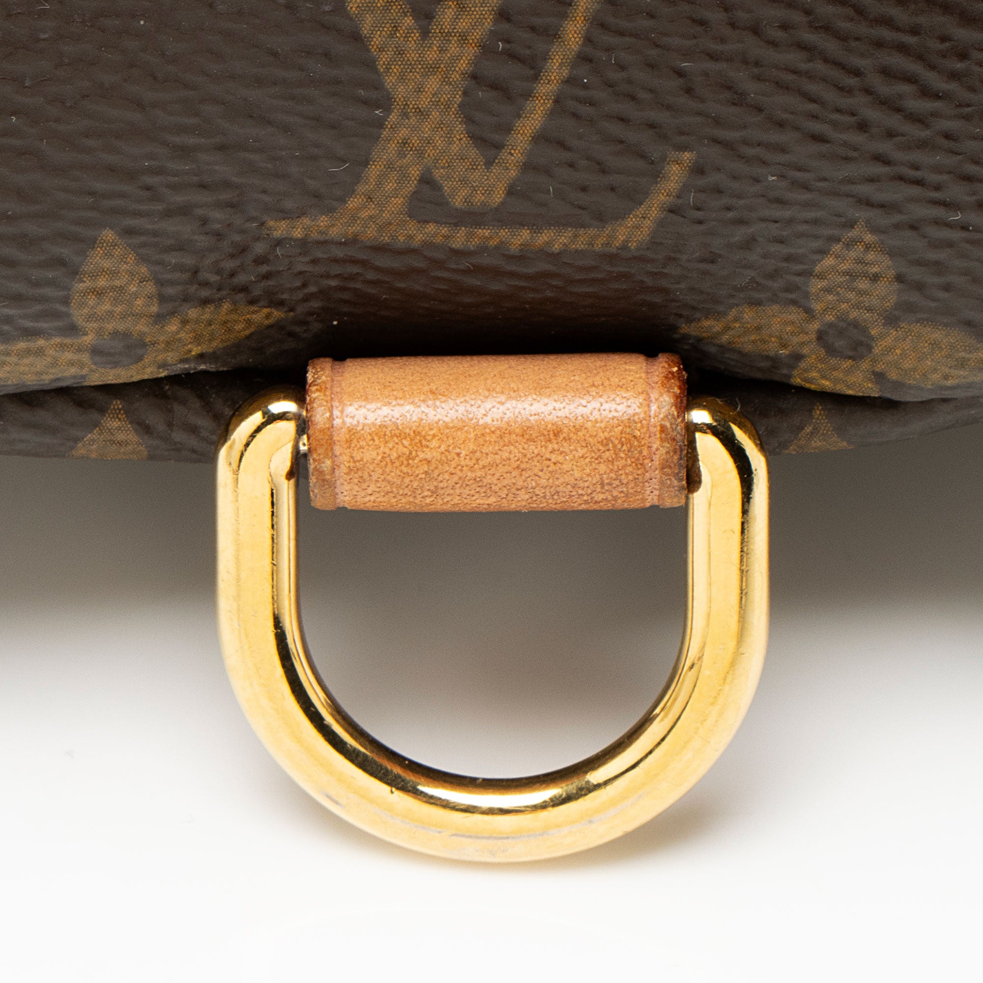 Louis Vuitton Monogram Canvas Bumbag